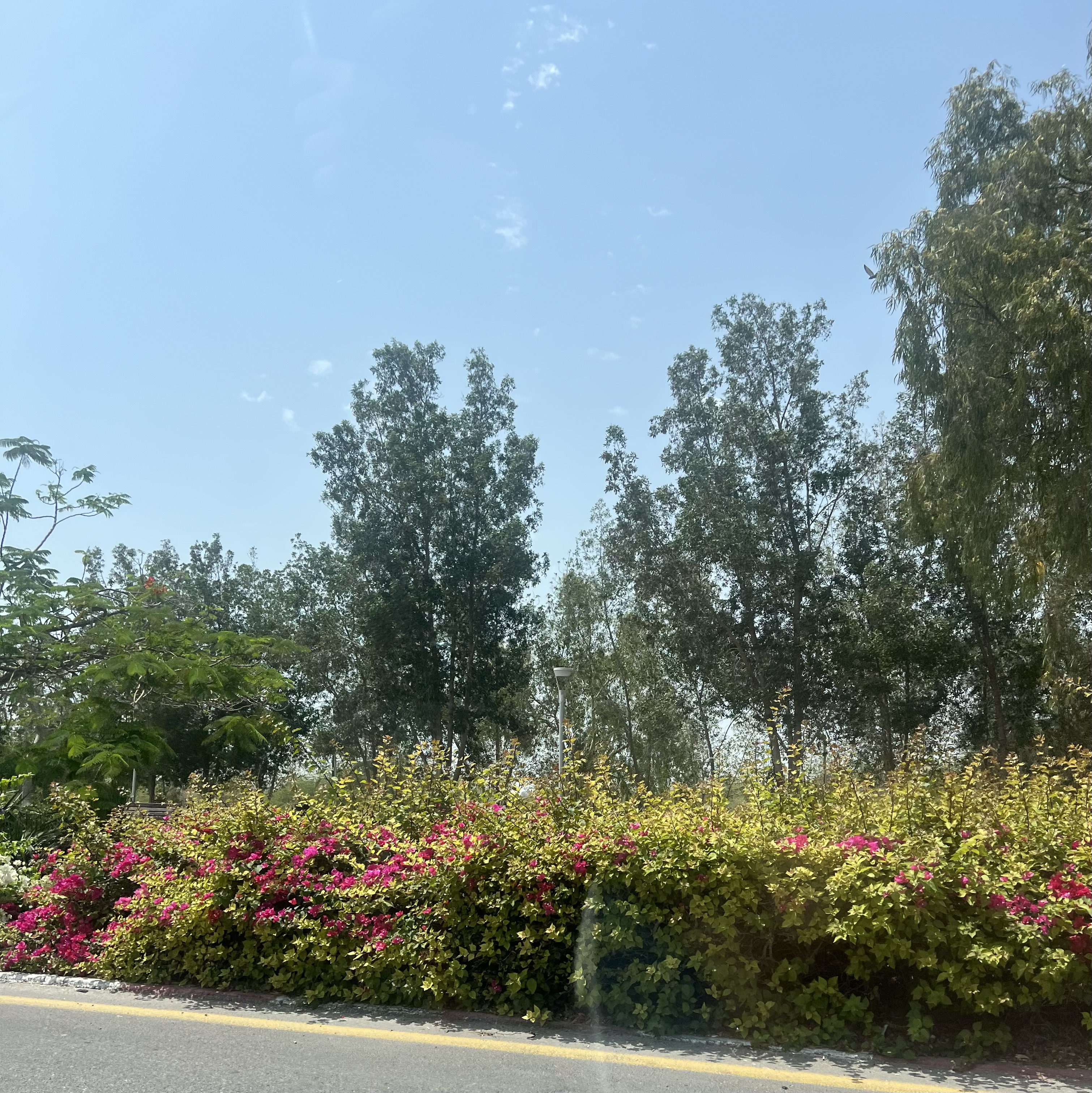 IMG_0459.jpeg