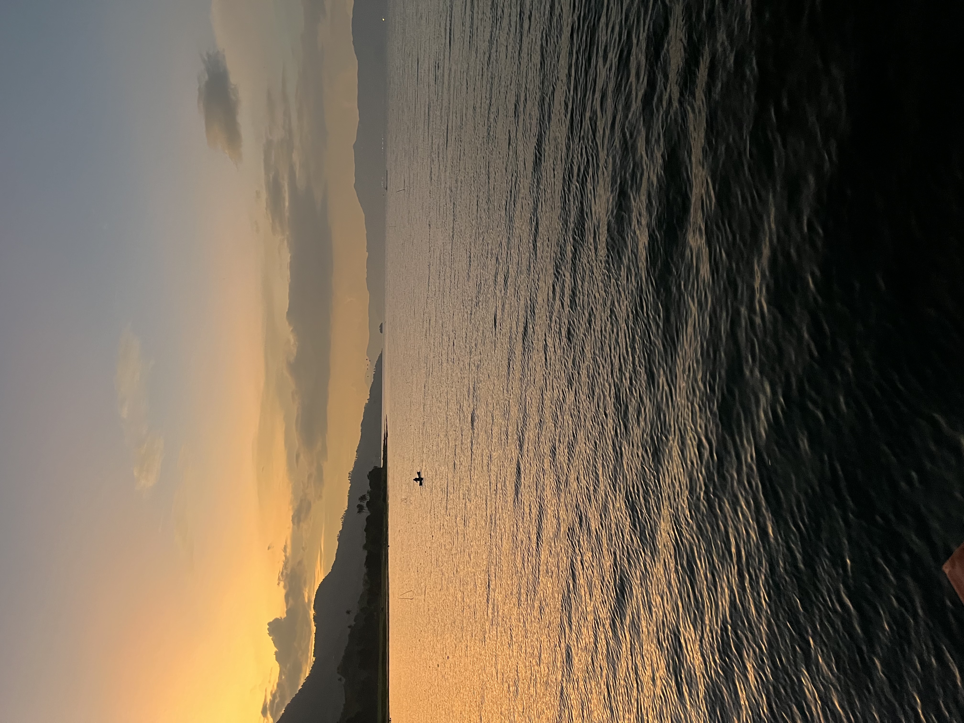 IMG_1346.jpeg