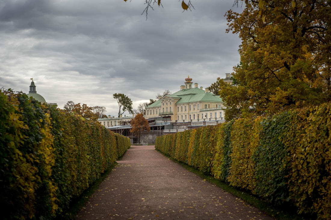 DSC07979.jpg
