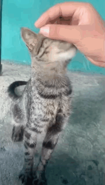 30E91D78-1959-4A90-A02A-340AE96F6882.gif