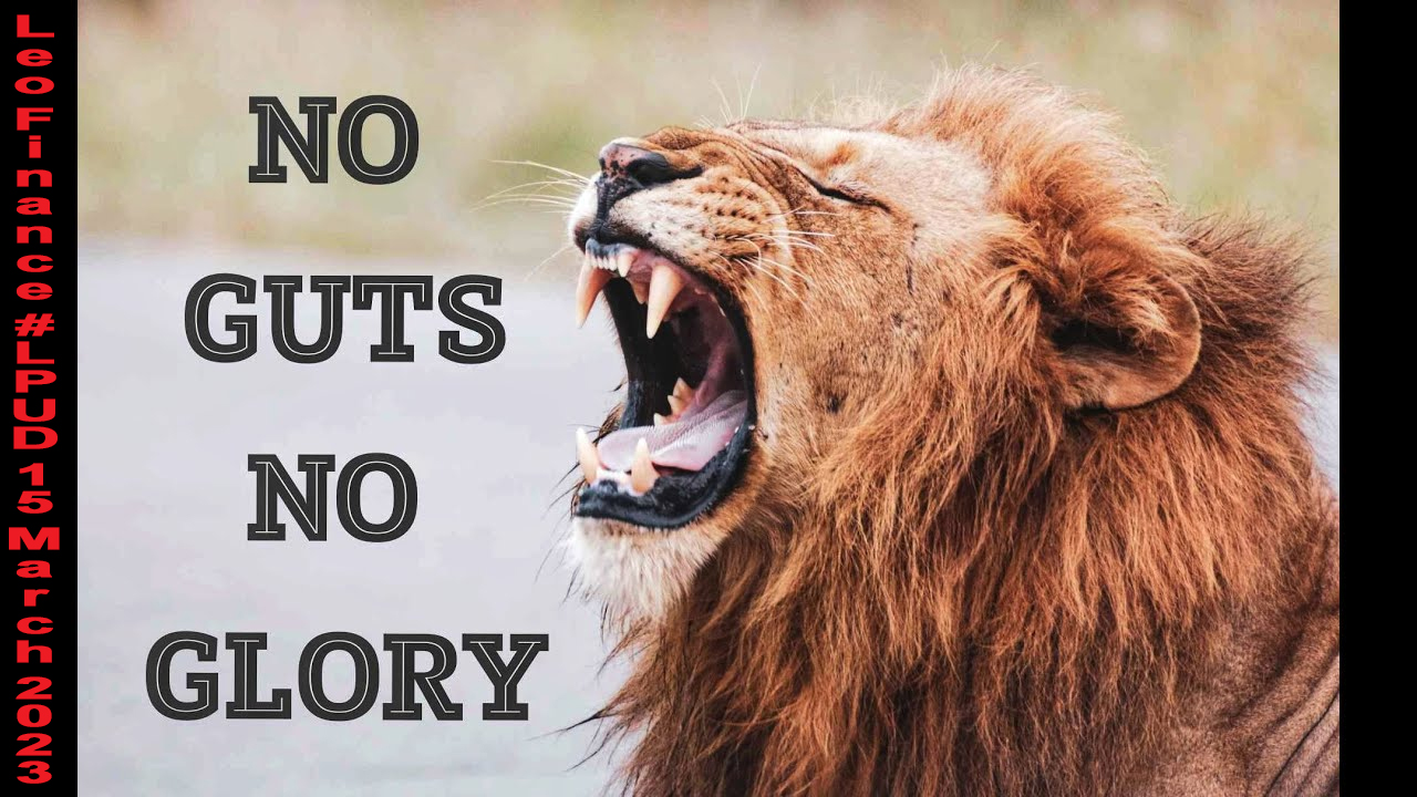 @behiver/leo-finance-lpud-when-it-comes-to-leo-staking-it-is-all-about-no-guts-no-glory