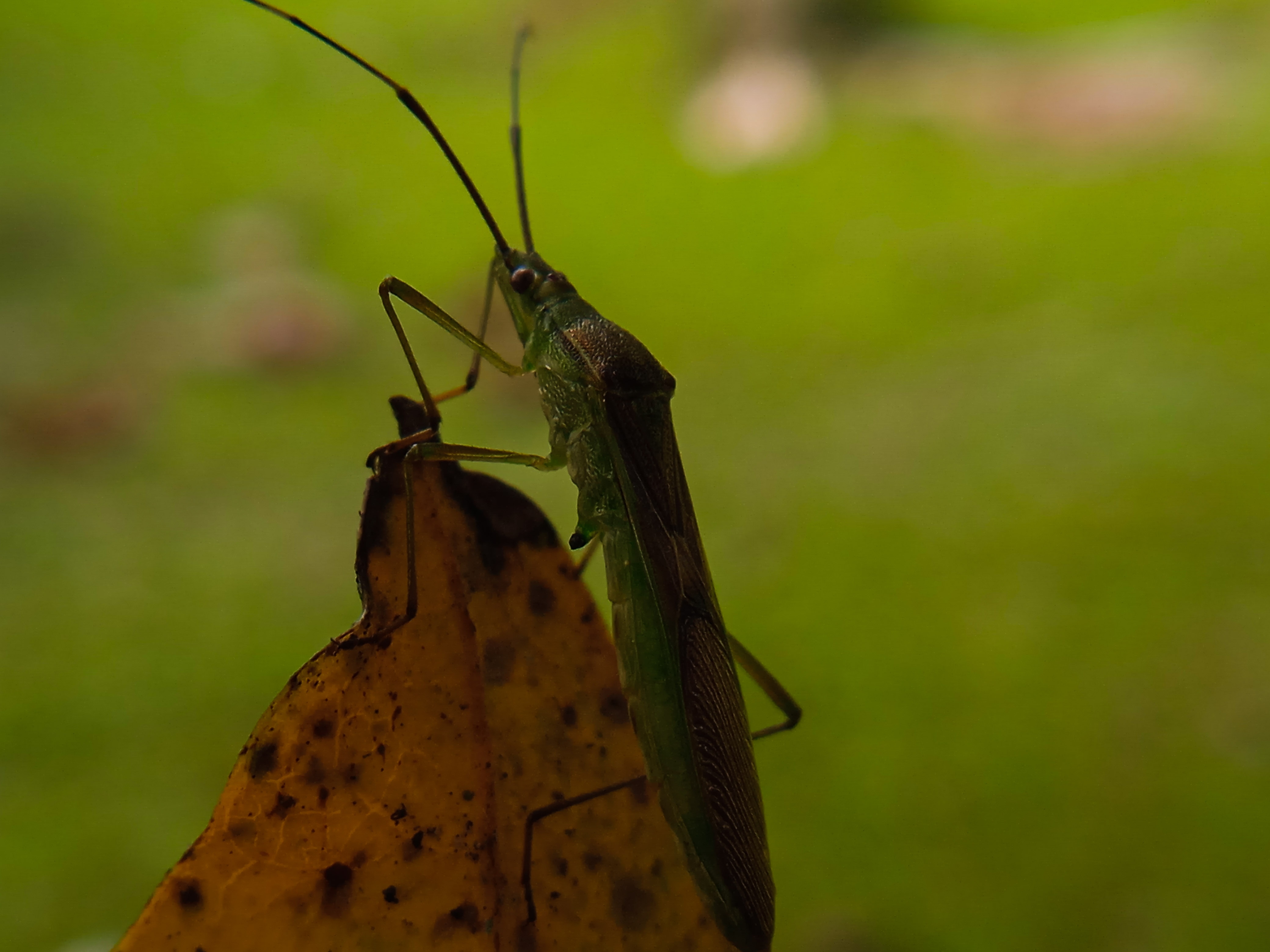IMG_20220125_214252.jpg