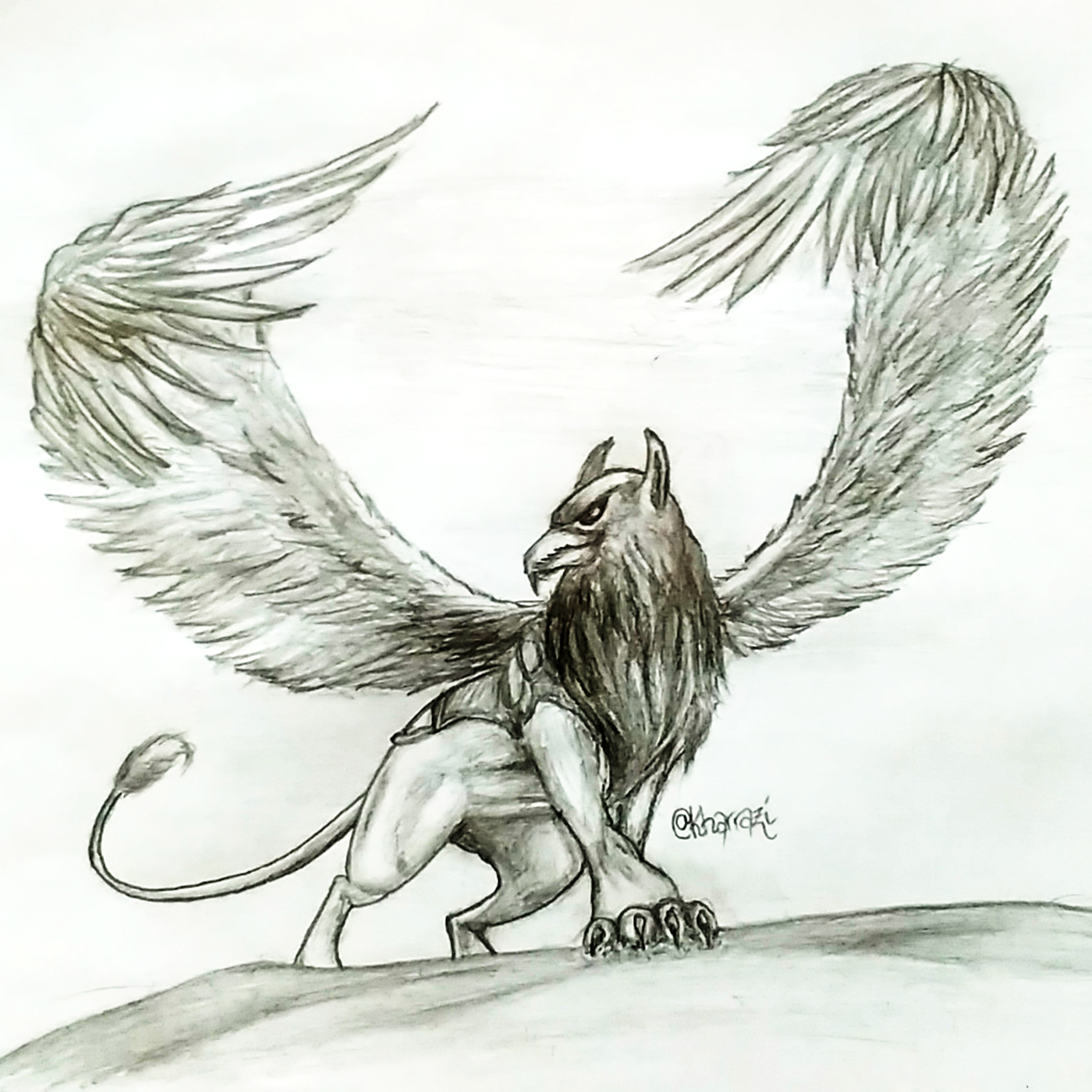 pencil drawings of griffins