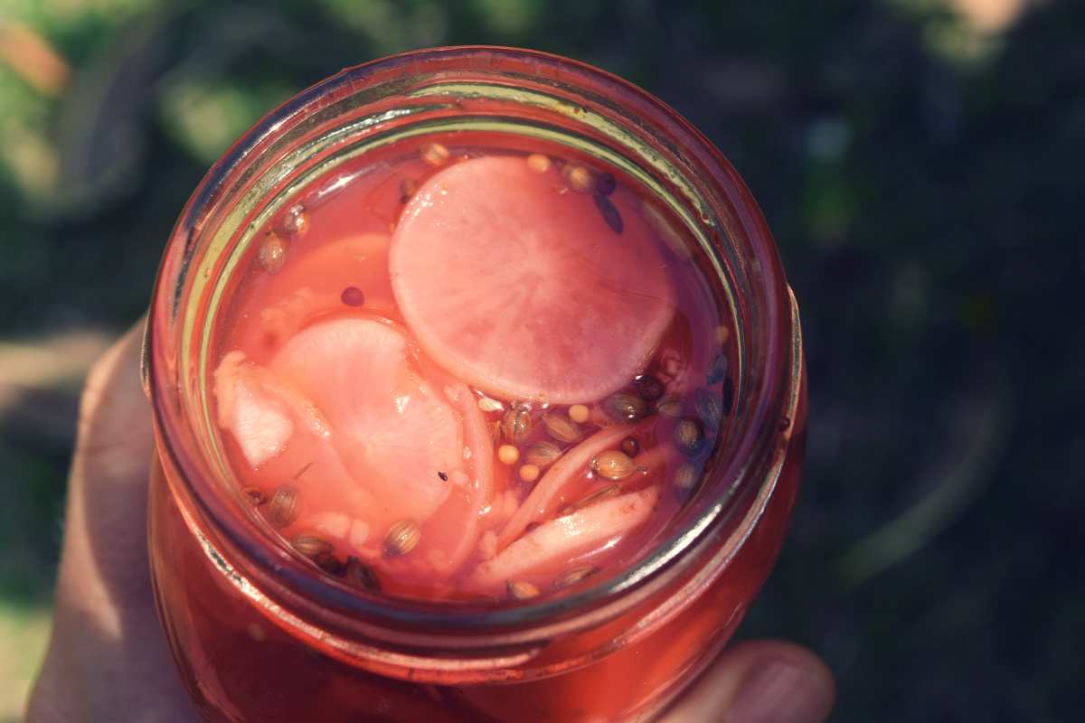 red-radish-pickle-10.jpg