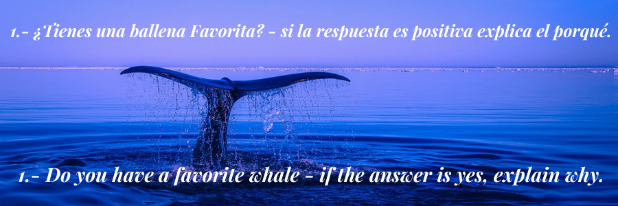 1.- ¿Tienes una ballena Favorita- si la respuesta es positiva explica el porqué. (1).png