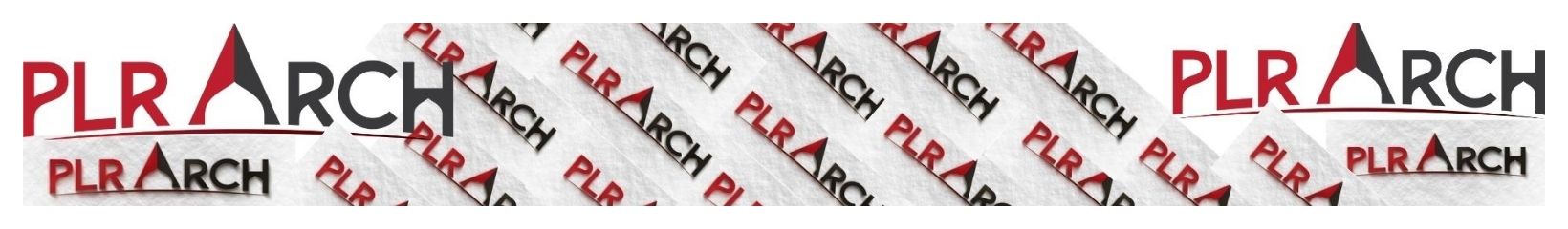 successchar's cover
