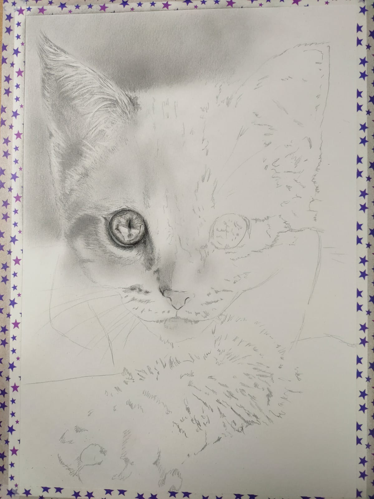 katze_wip.jpg