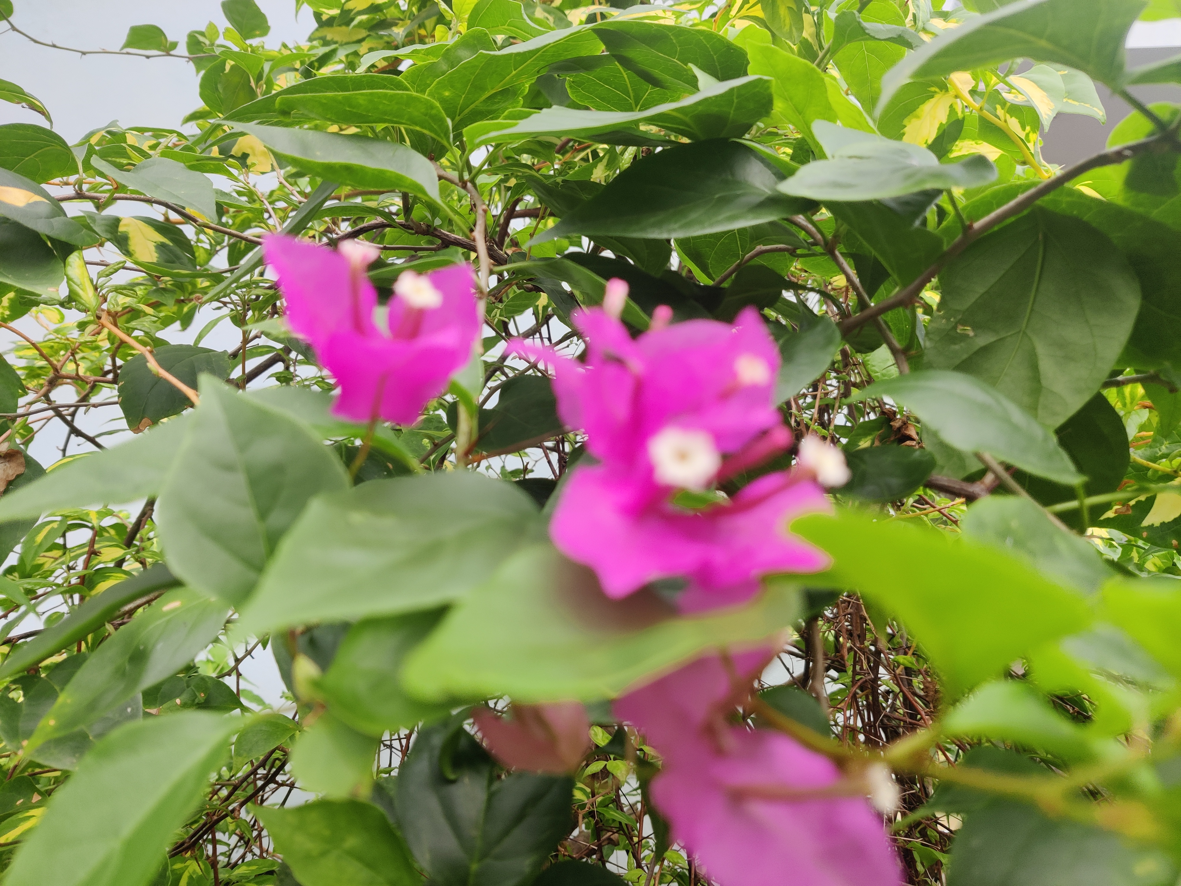 IMG_20250820_143349.jpg