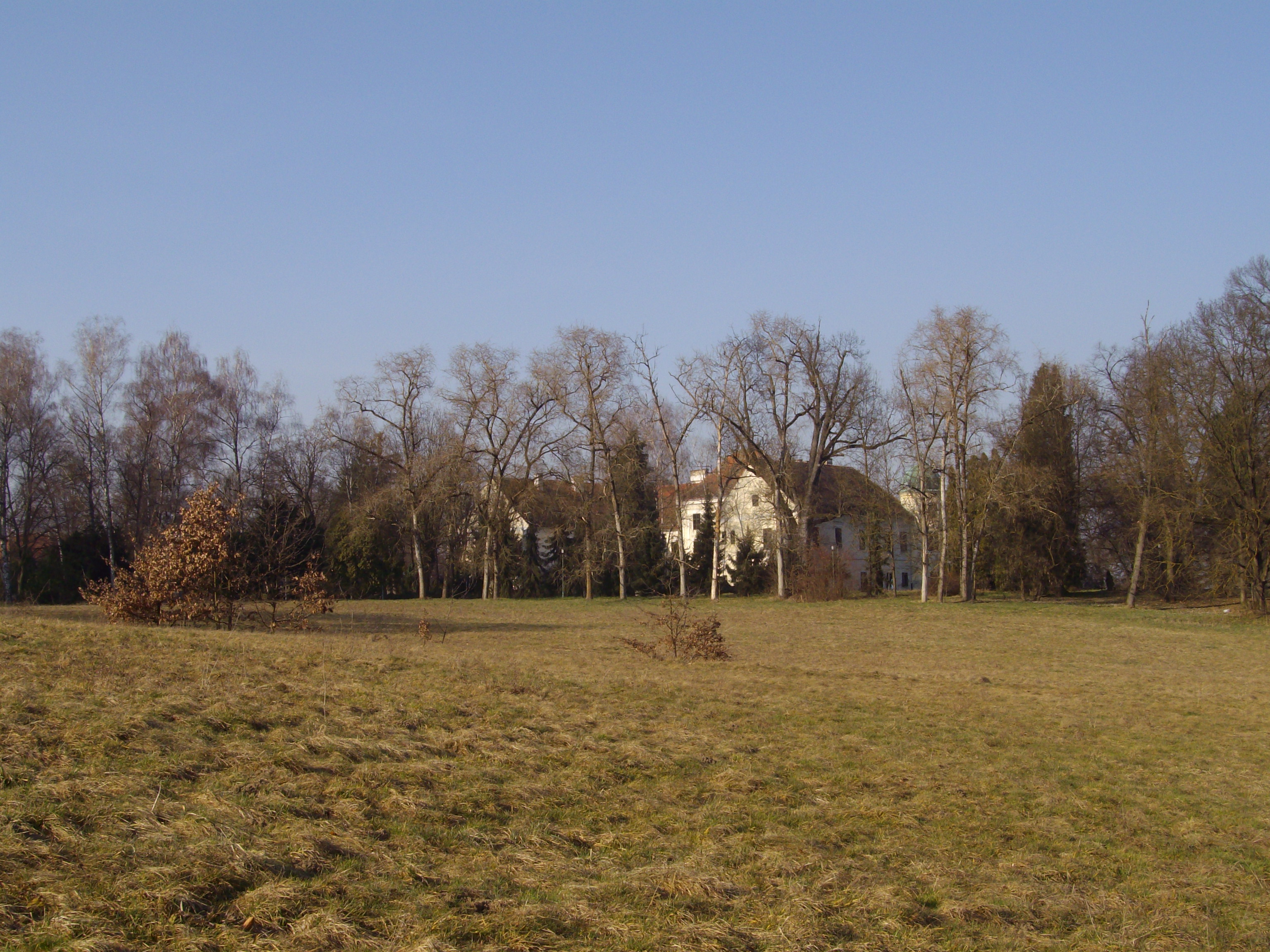 3-2008 brez..JPG