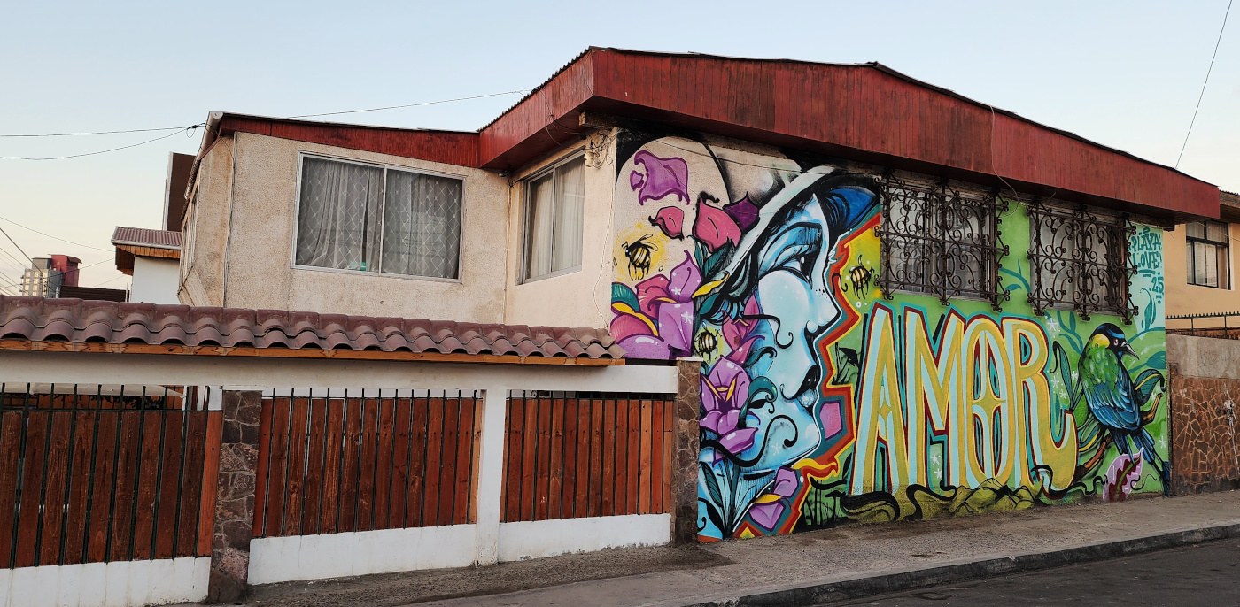 antofagasta-streetart-263.jpg