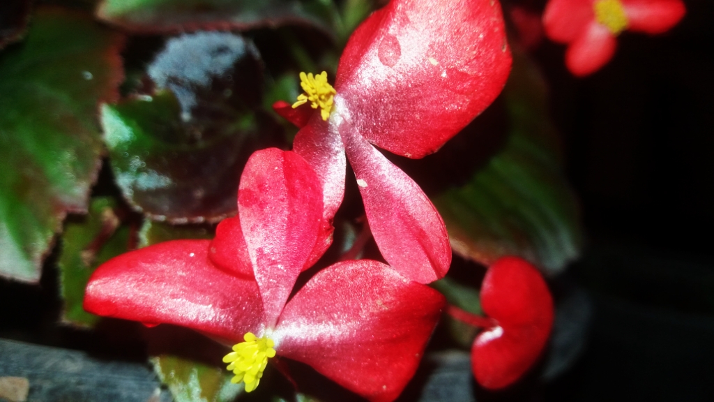 CYMERA_20201113_123413.jpg