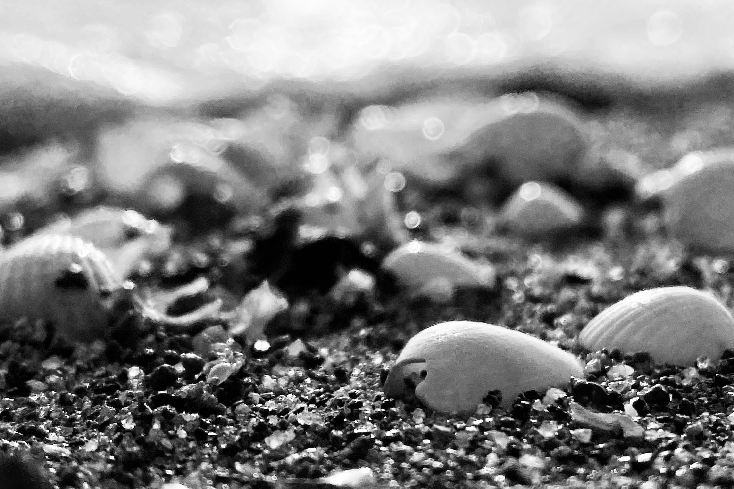 image00019 (1)-min-01-min.jpeg