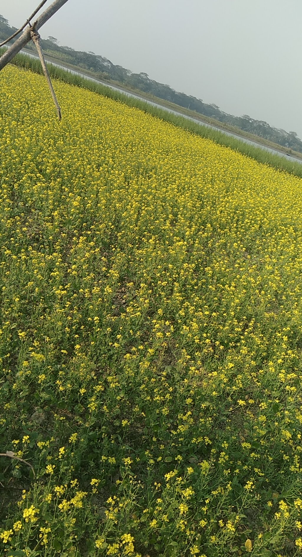 PANO_20181229_154510.jpg