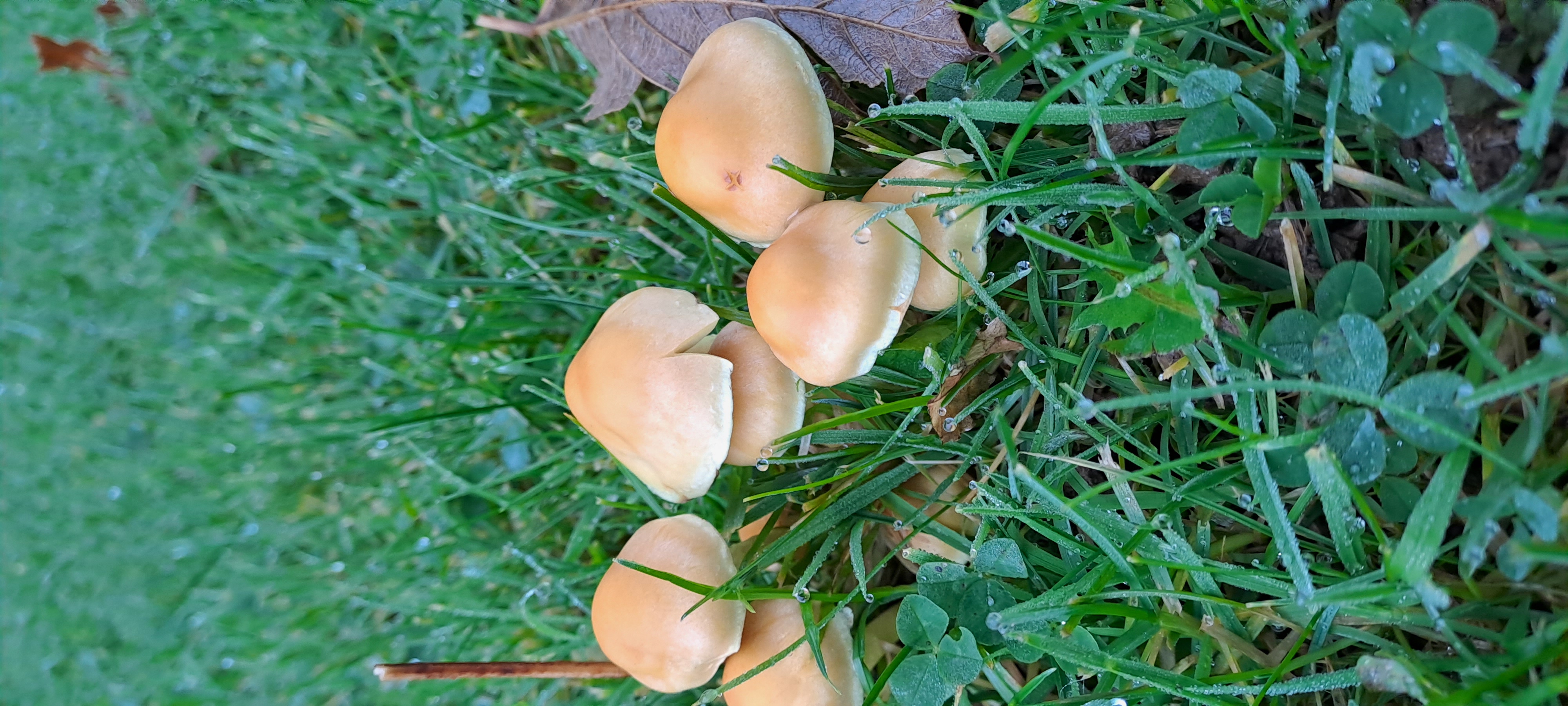 20231027_095313.jpg