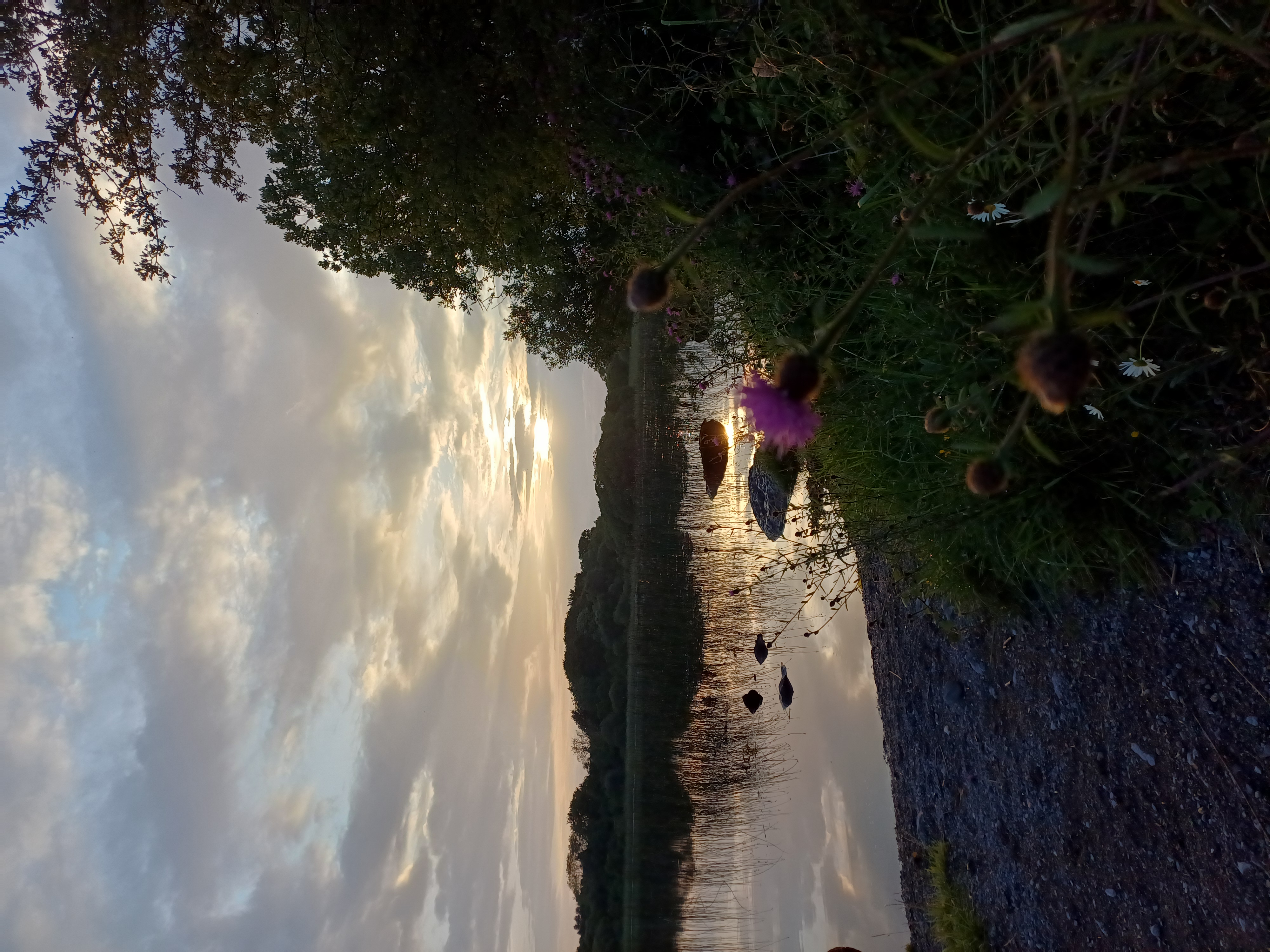 20250722_205708.jpg