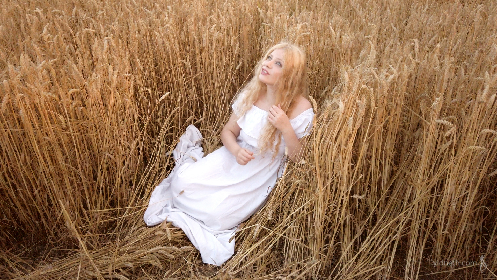 Fields of Gold_yidneth (2).jpg