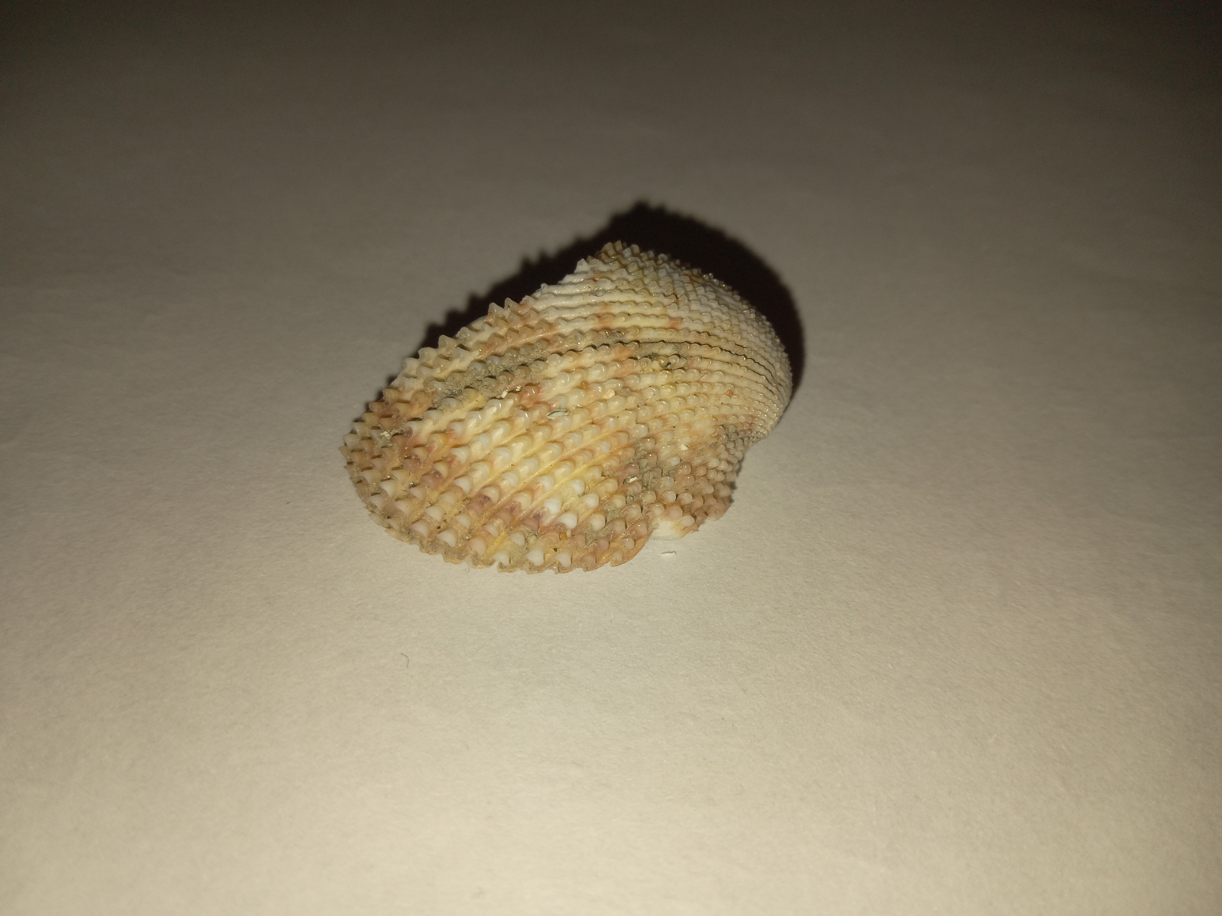 20250713_140439241.jpg