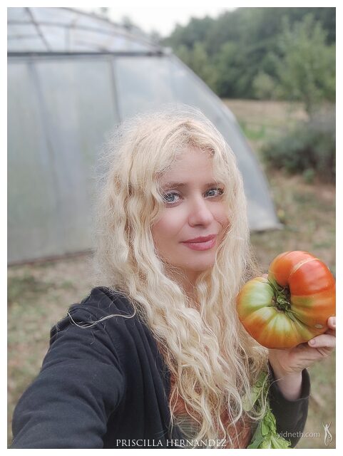 tomato.jpg