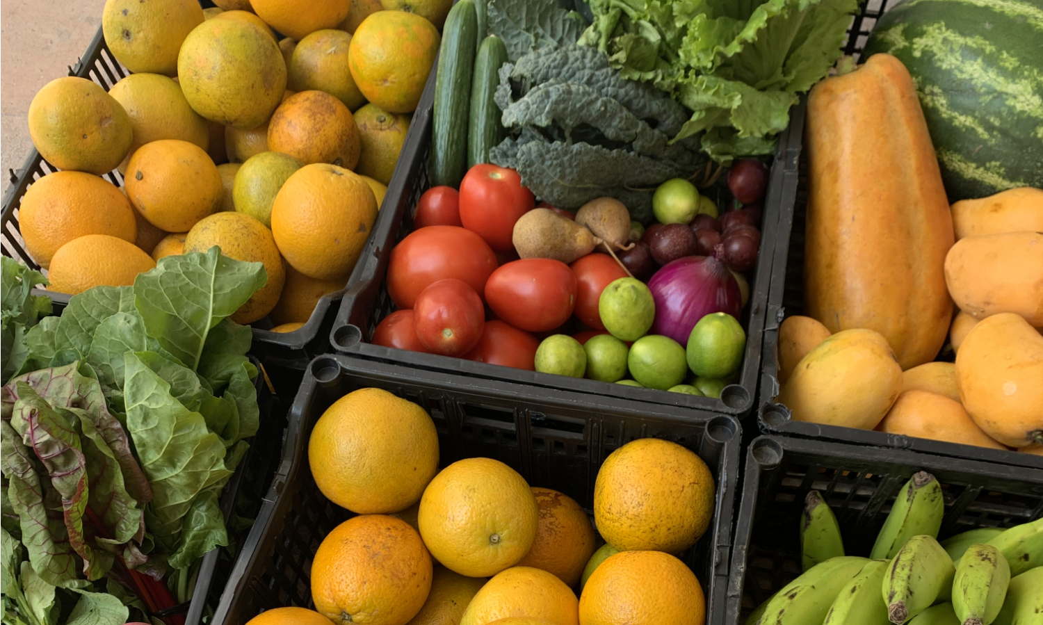 Fruits Raw Expansion.jpg