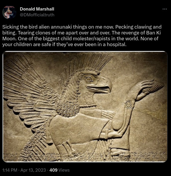 dm-twitter-bird-alien-annunaki-pecking-clawing-biting.jpg