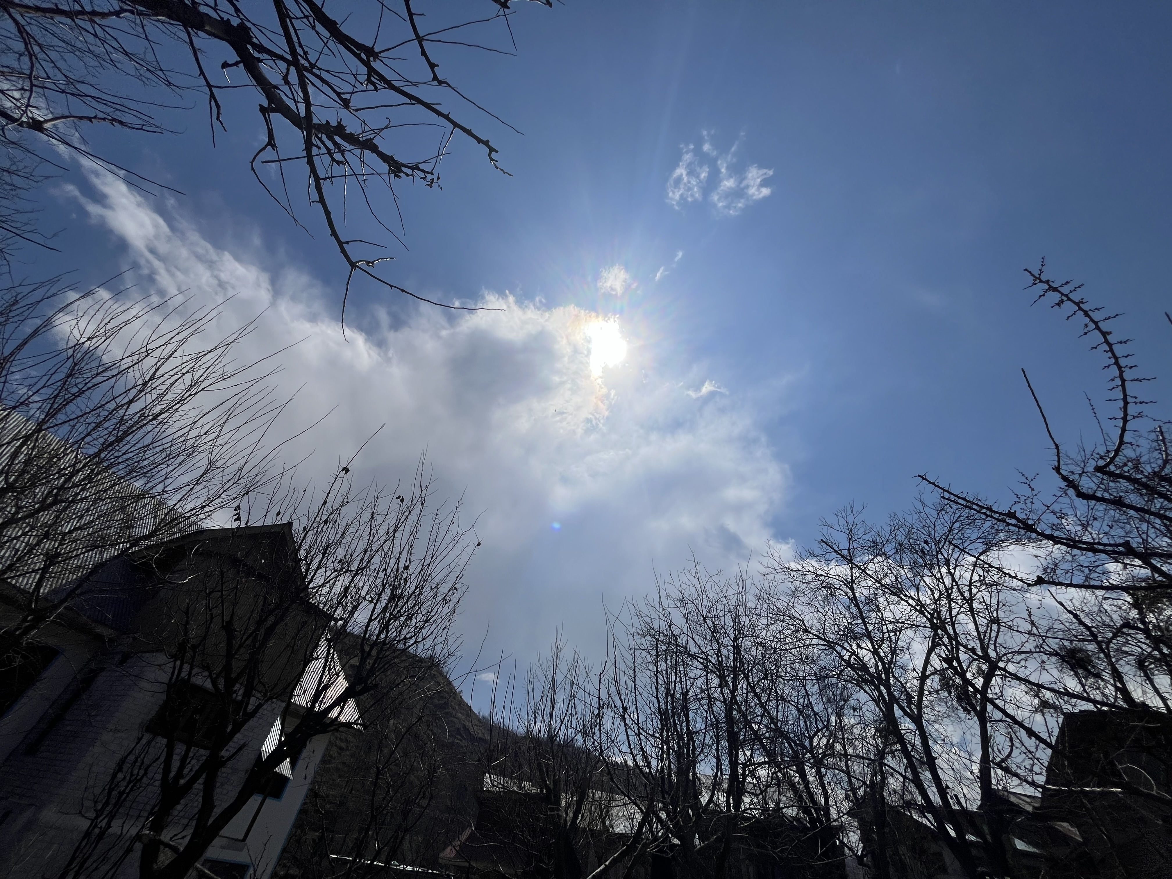 IMG_2817.jpeg