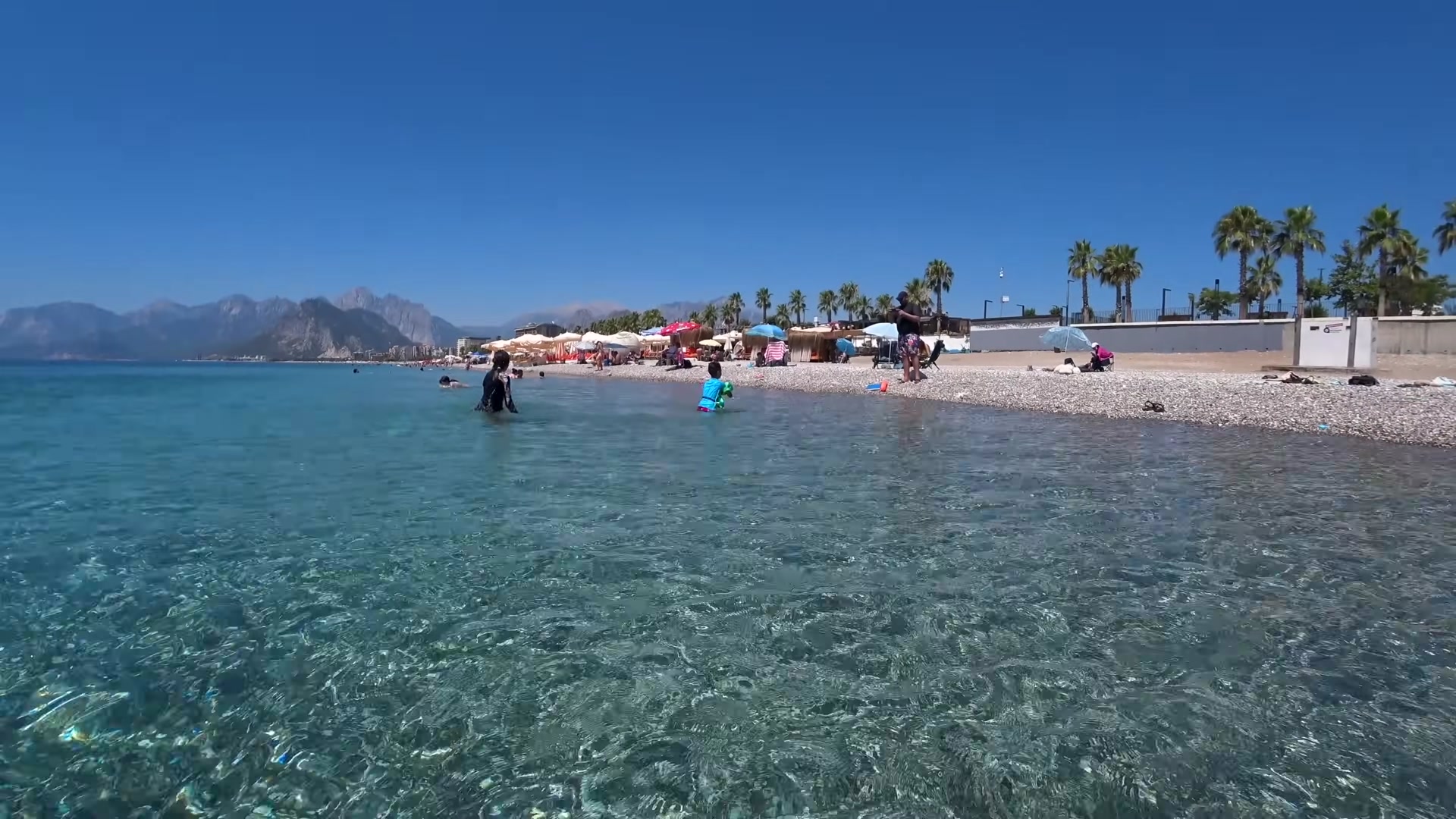 319.jpg