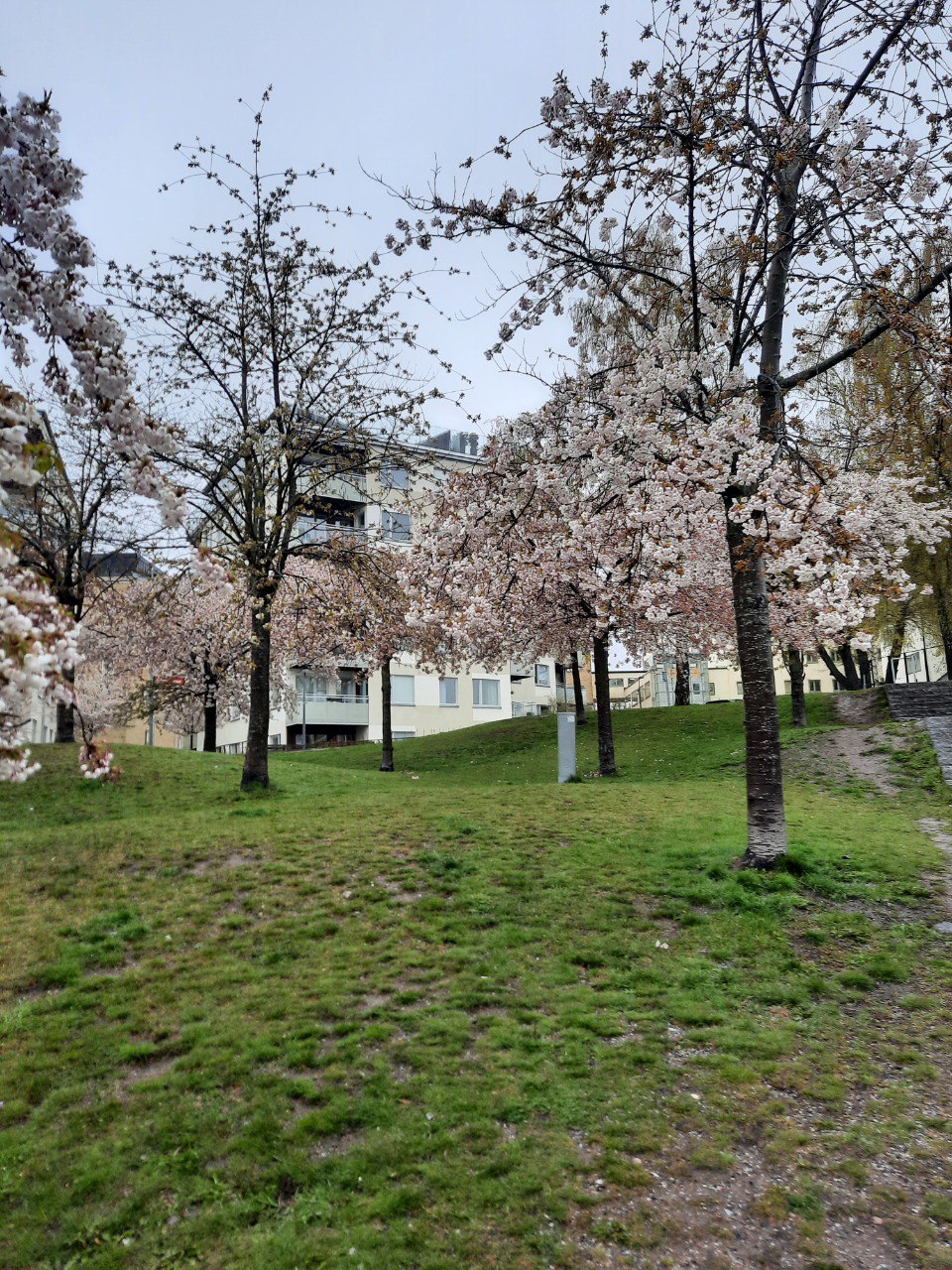 548C39D9-8D54-4E19-9FA3-1EAFB55FA8D4.jpeg