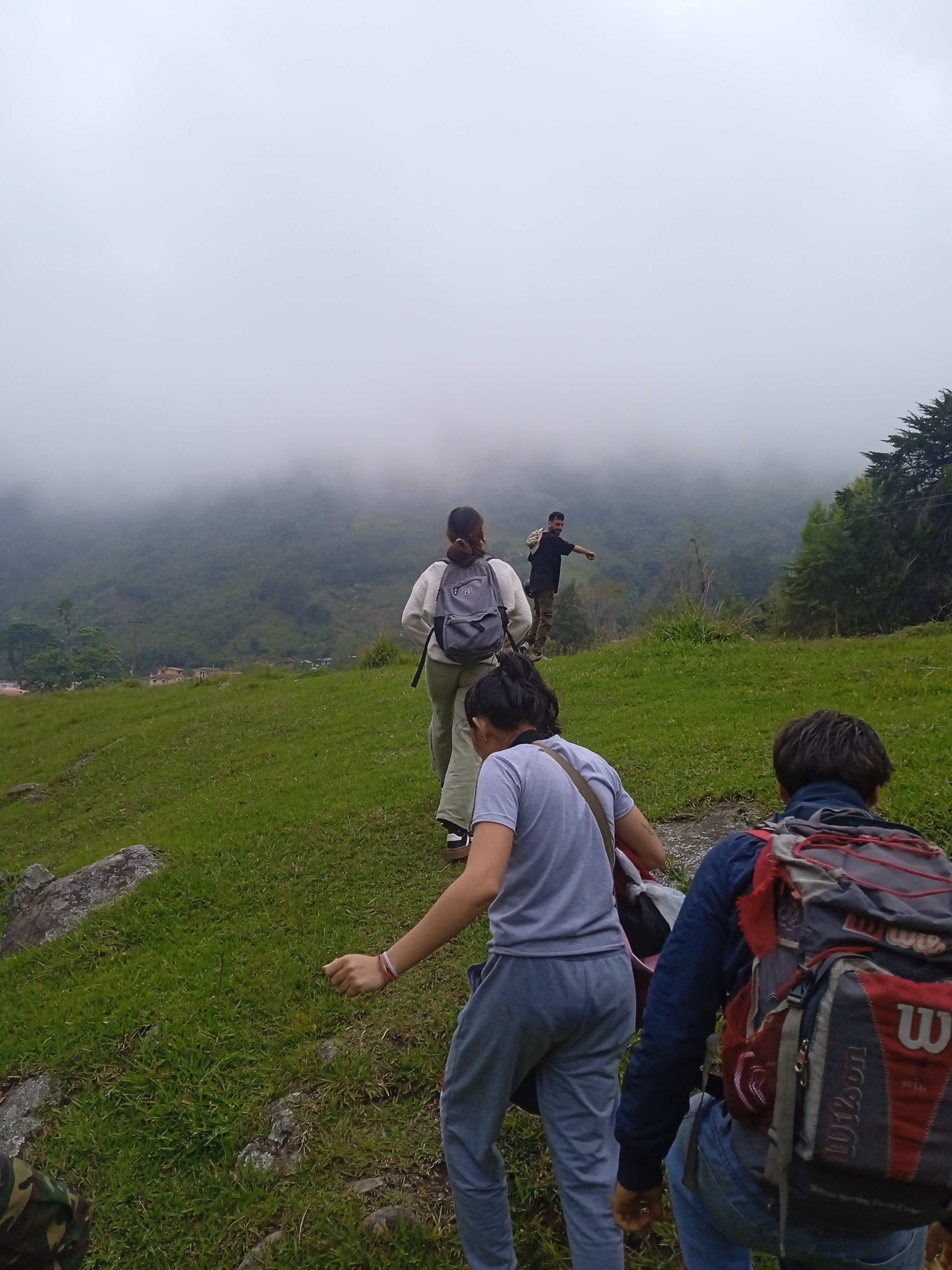 IMG_20250615_152614_1.jpg