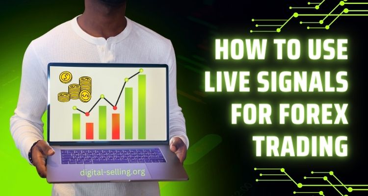 live signals for Forex.jpg