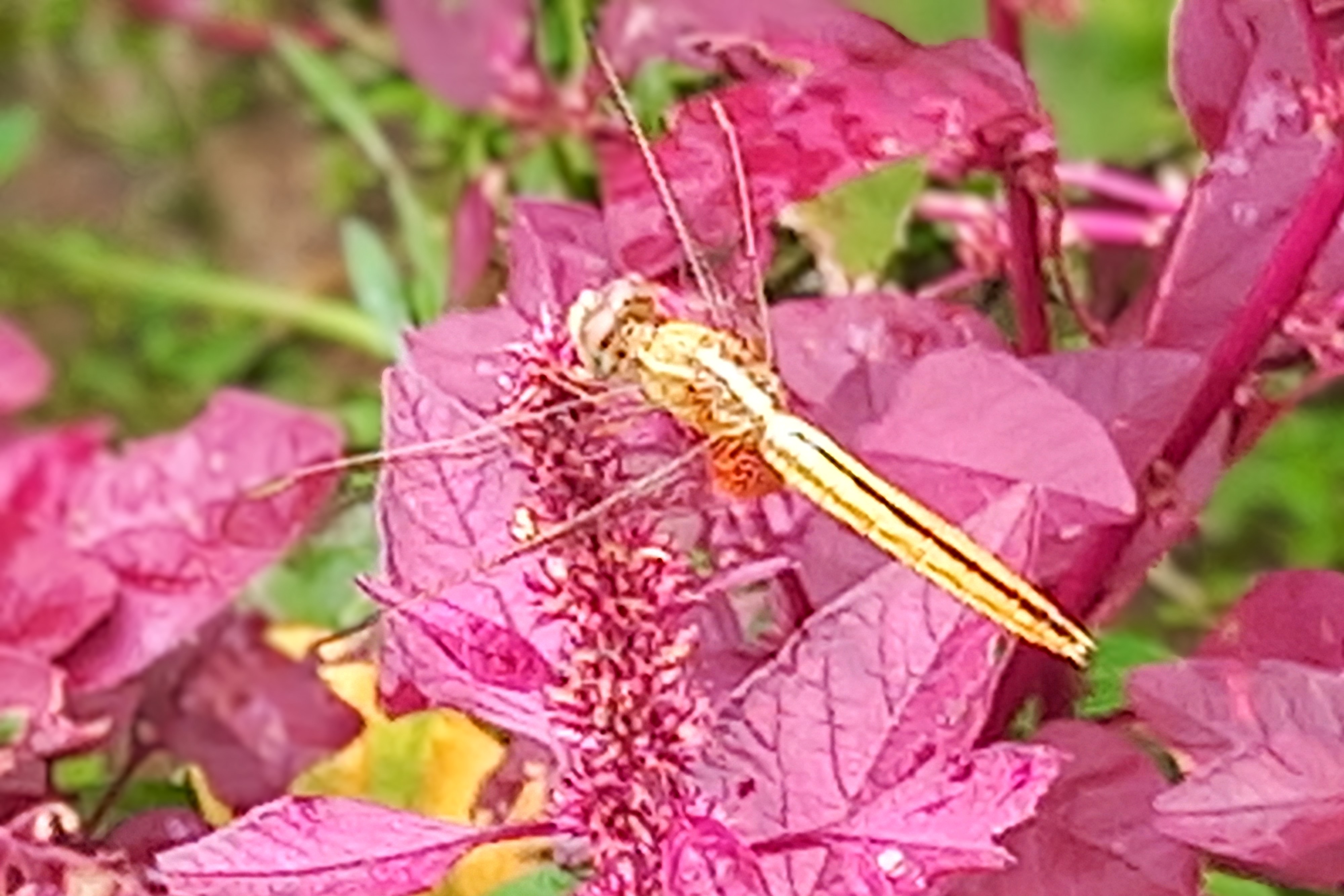 20250728_132017~2.jpg