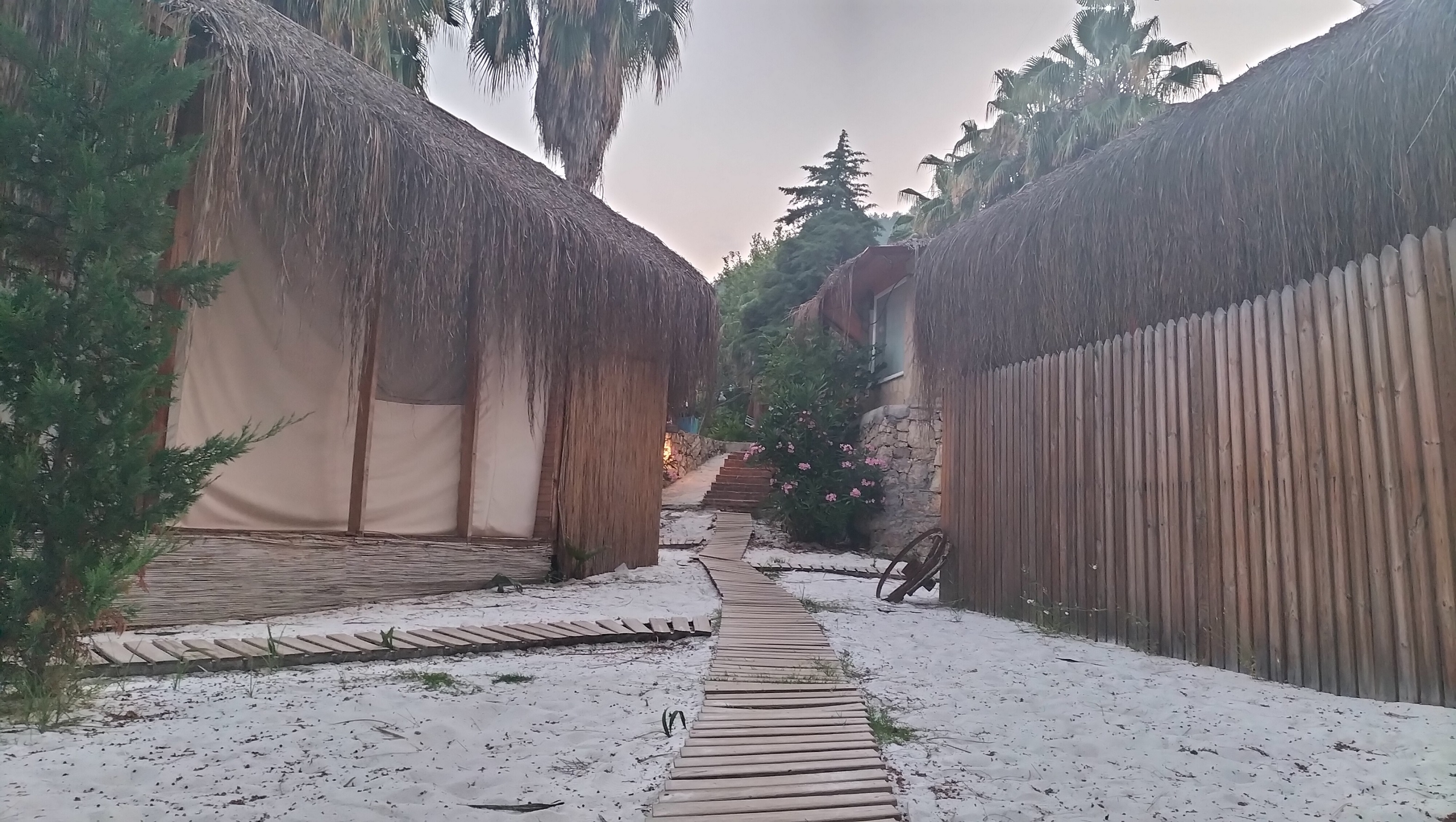 IMG20250613201754 (1).jpg