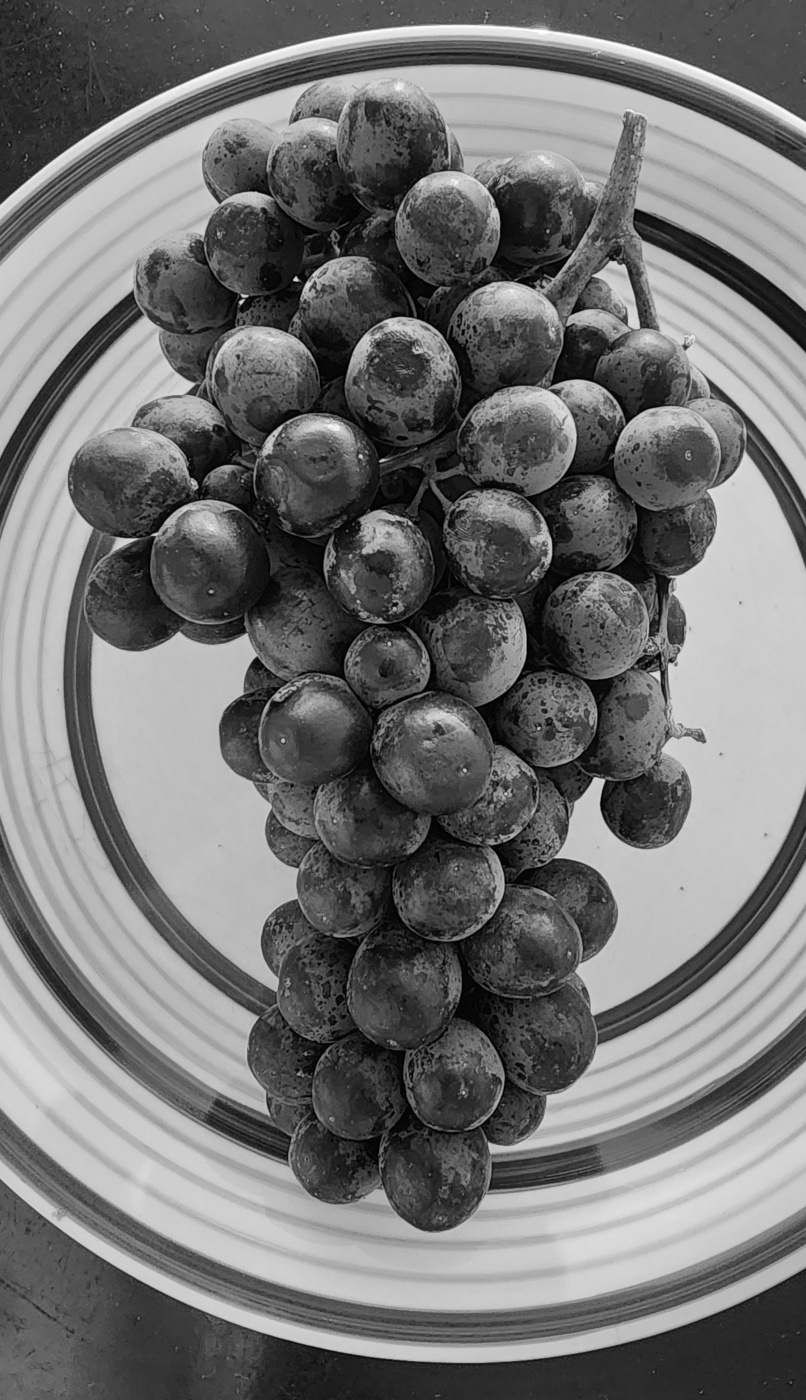 grapes-006-bw.jpg