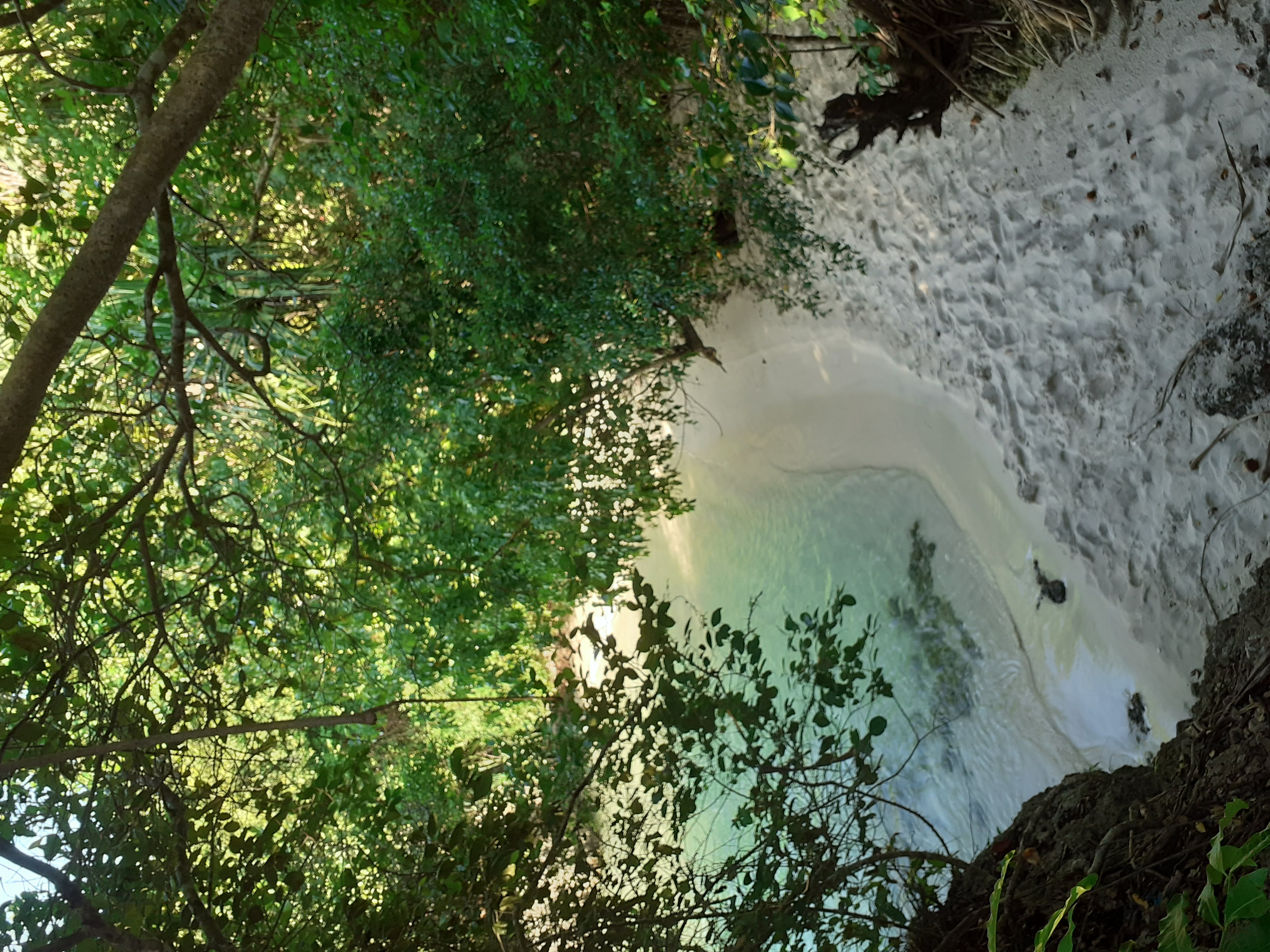 20210610_163352 (1).jpg