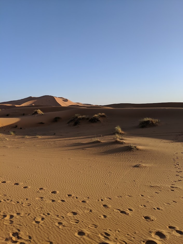 Riding Camels into the Sahara & Camping With the Berbers - Merzouga, Morocco