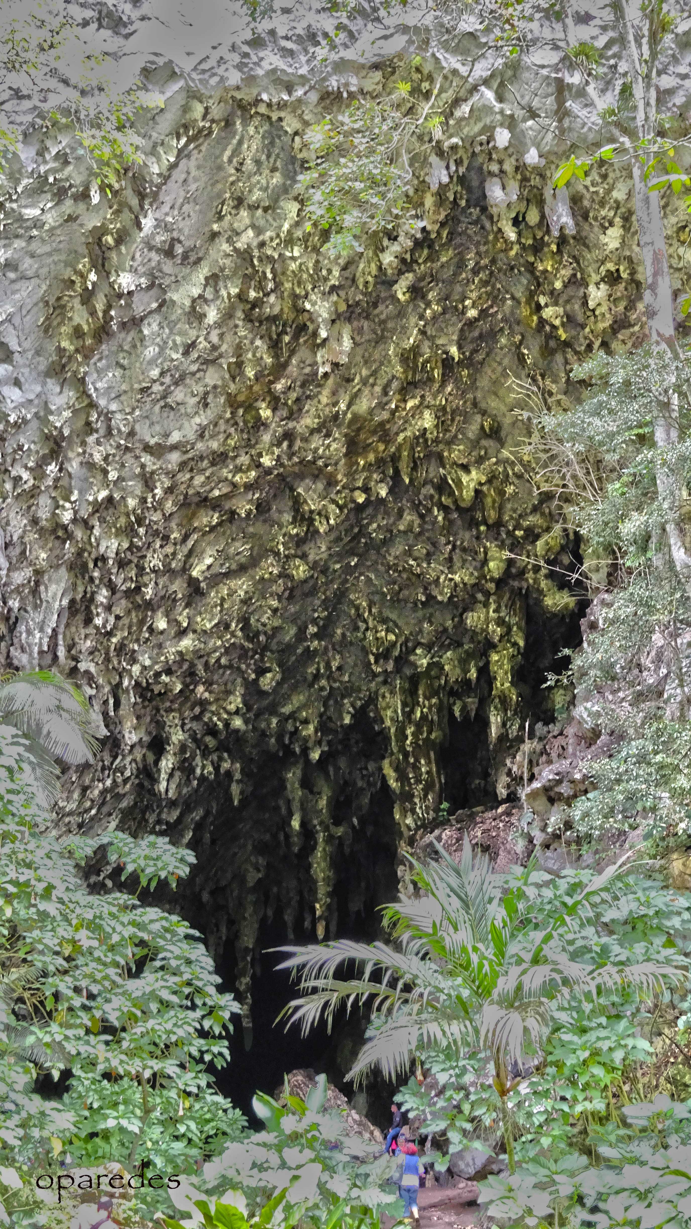 cuevas del guacharo (3).JPG