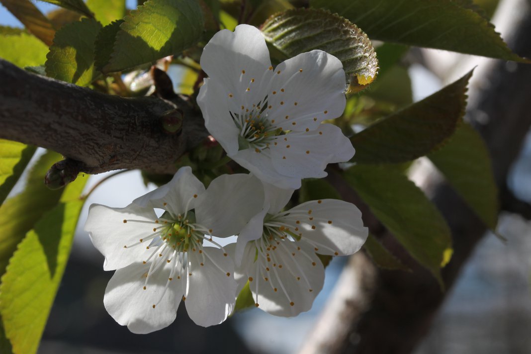 IMG_5111.jpeg