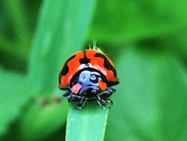 IMG_1410a.png