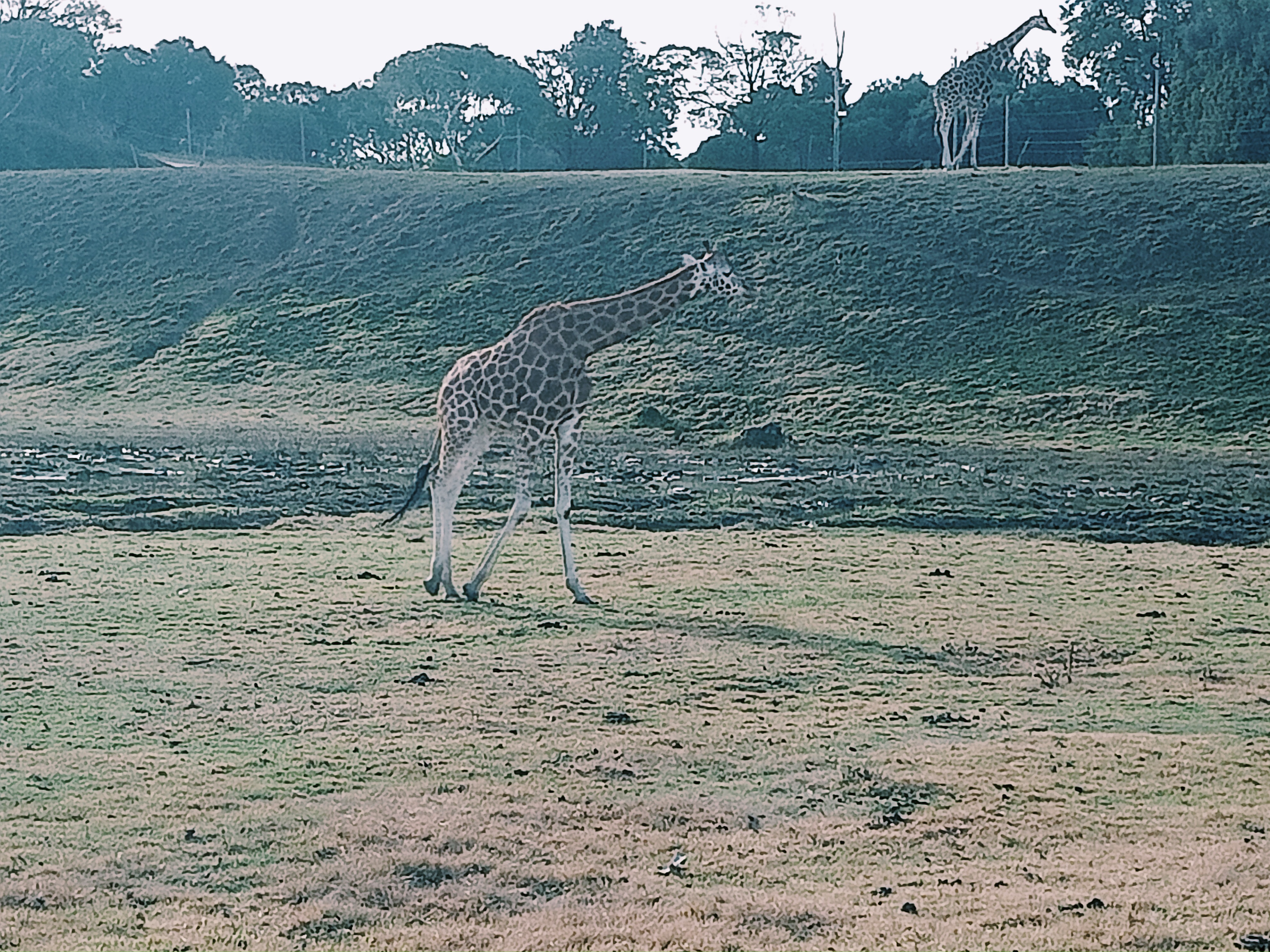 IMG20250601141716.jpg