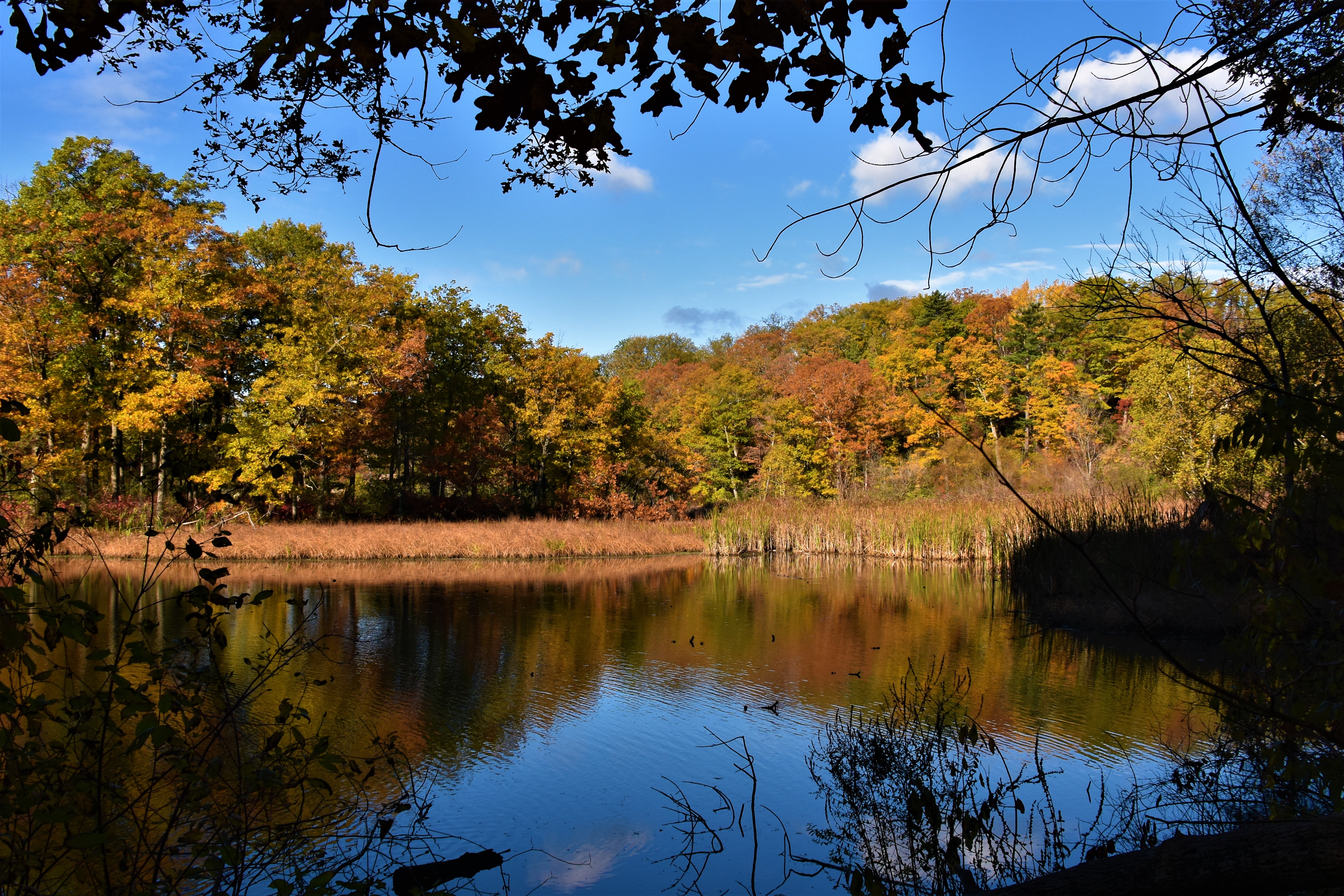 DSC_6125.JPG