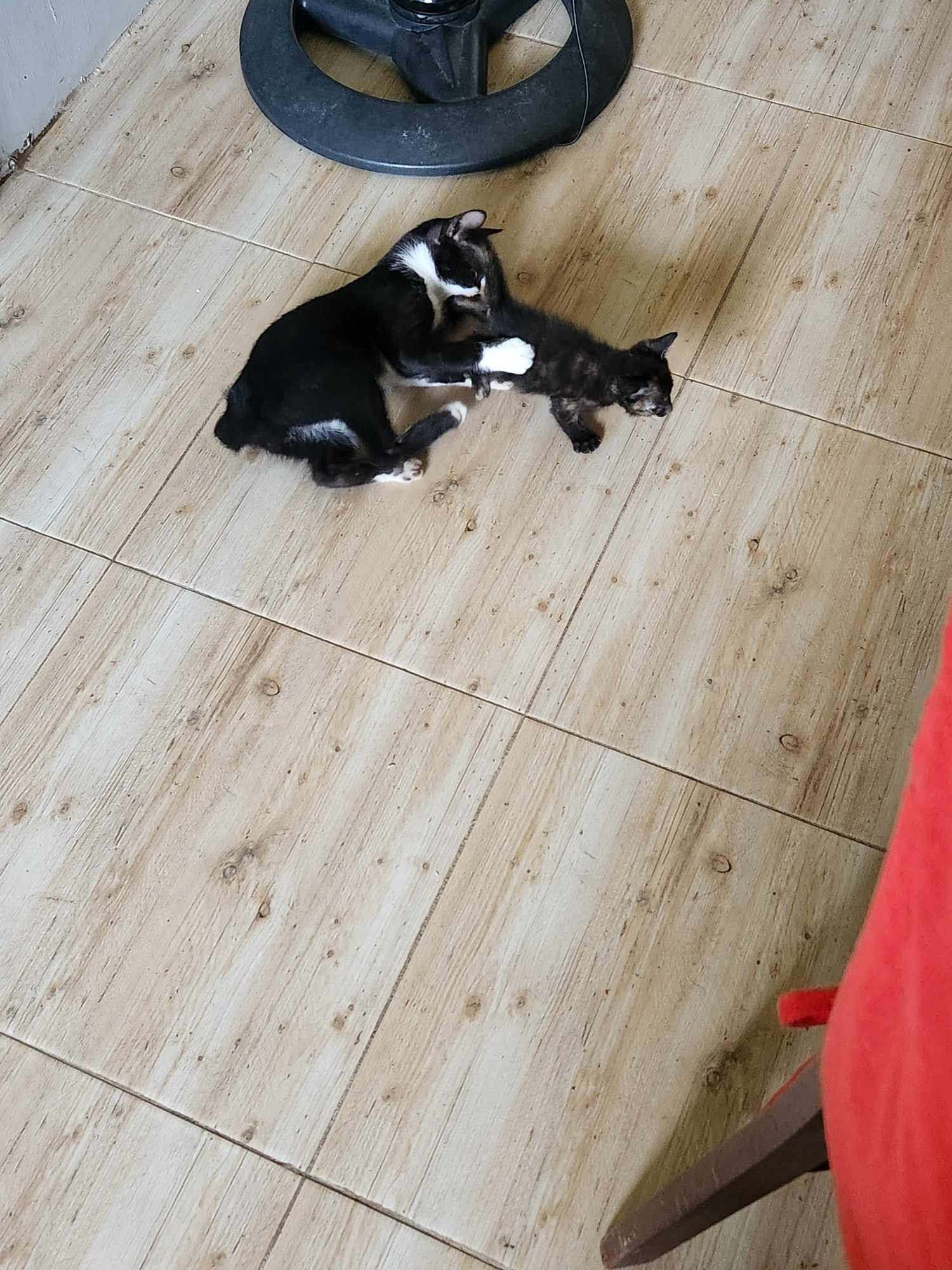 received_728103242623828.jpeg
