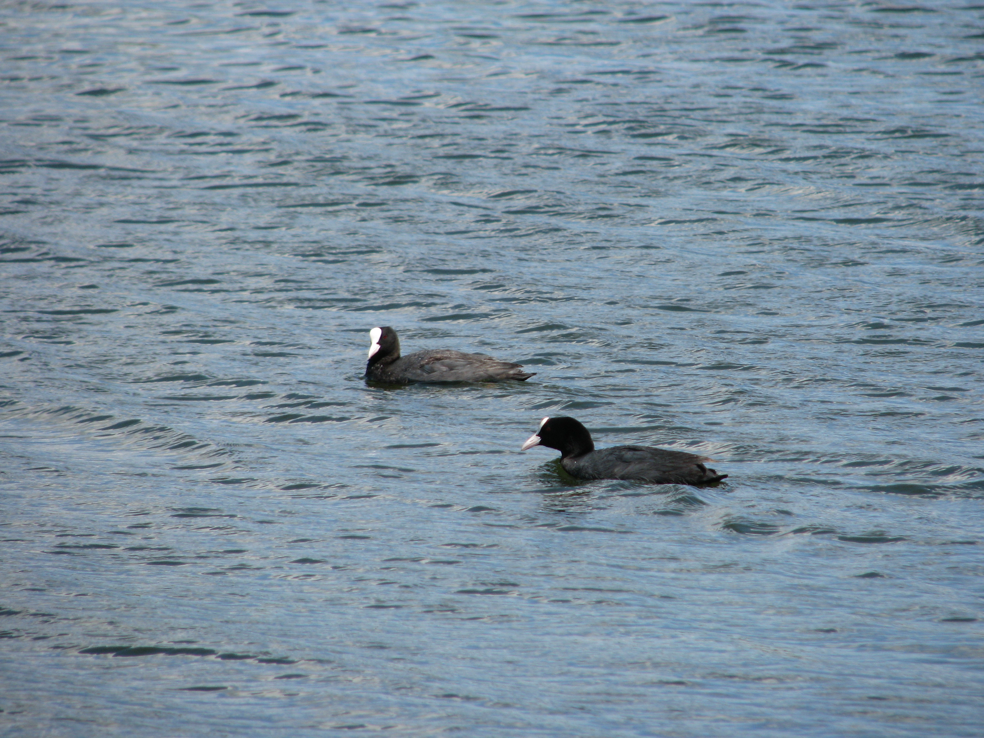2009.06.14 14.27.49.jpg