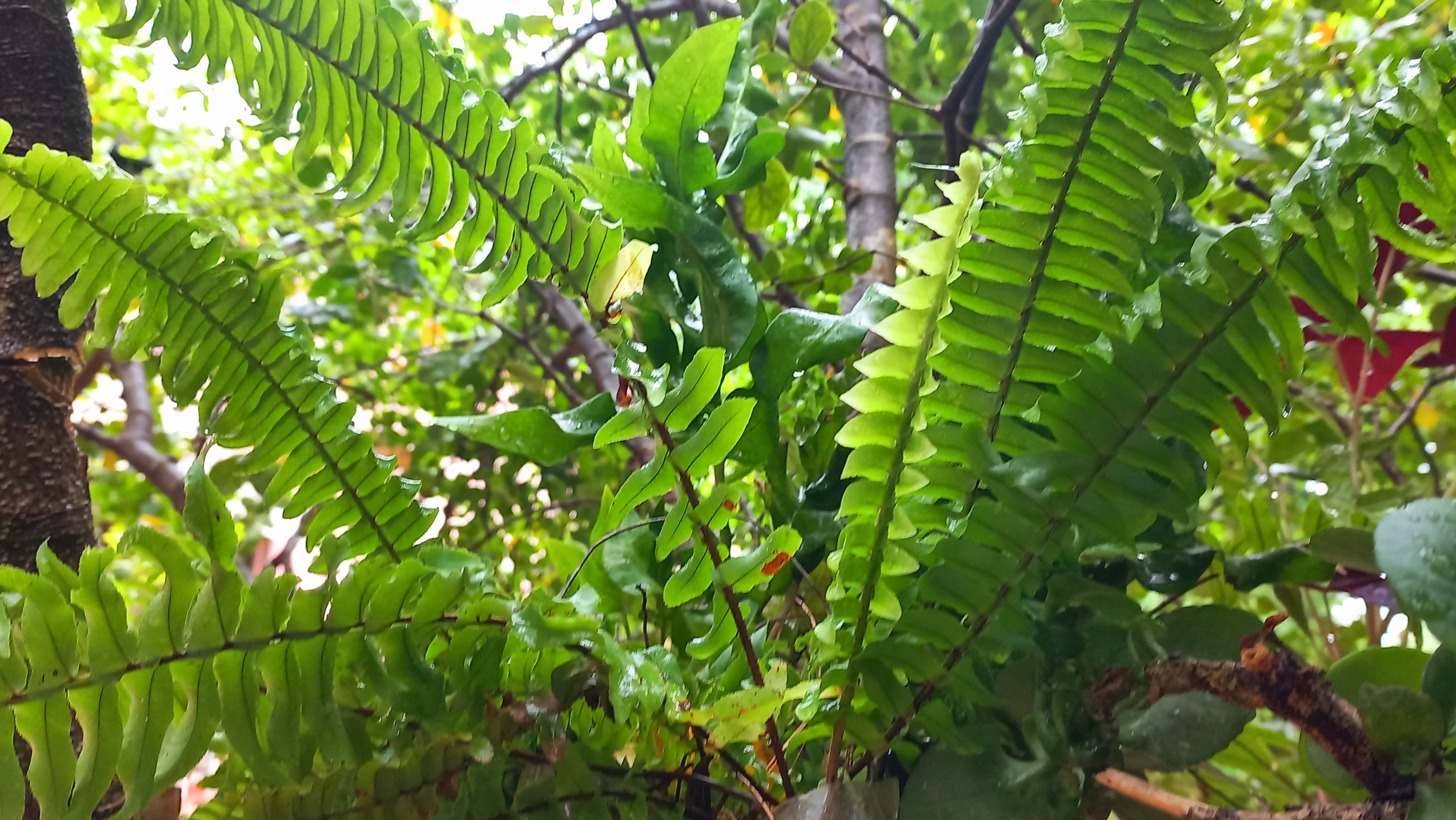 20250802_131632.jpg