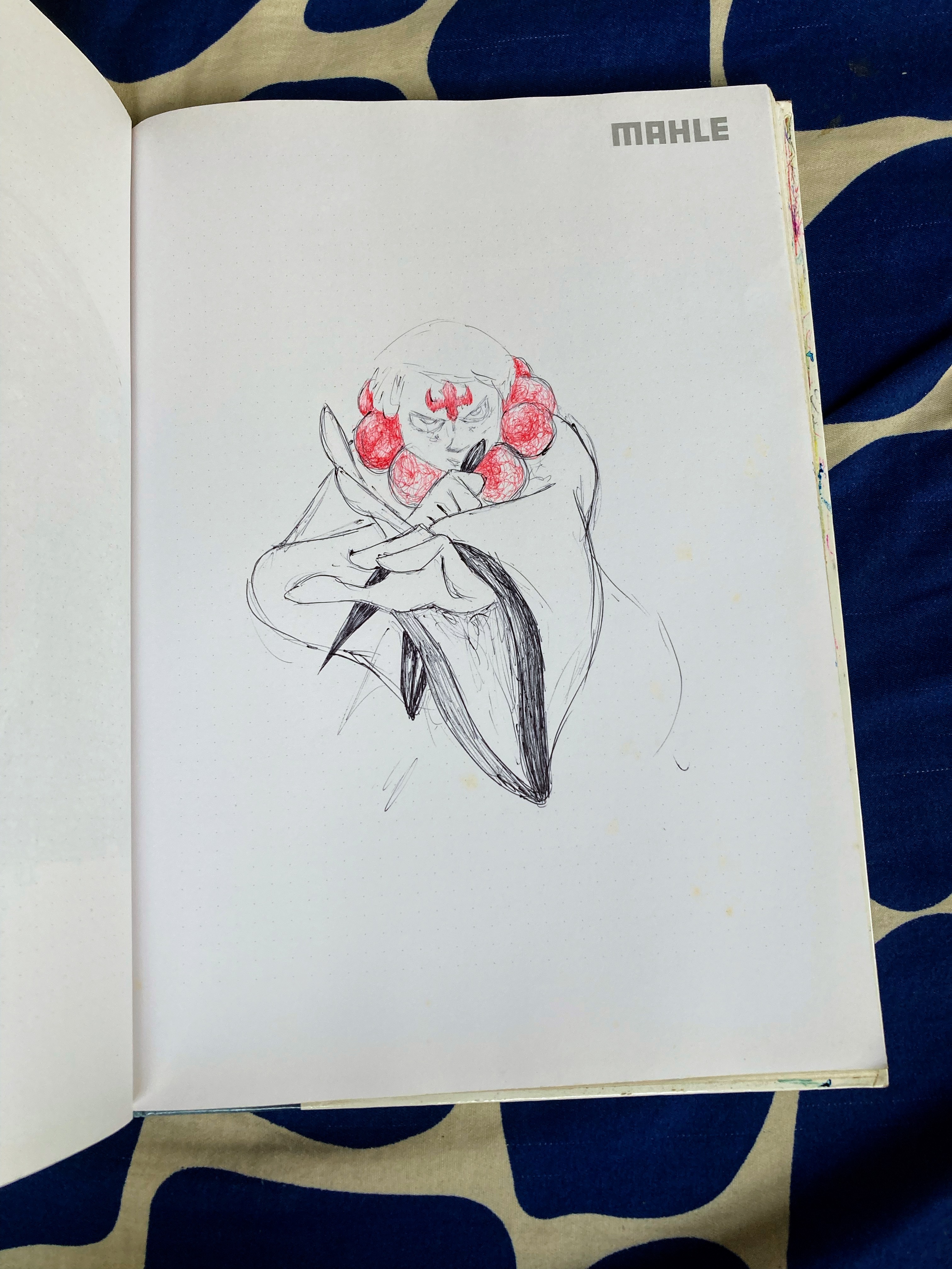 IMG_2736.jpeg