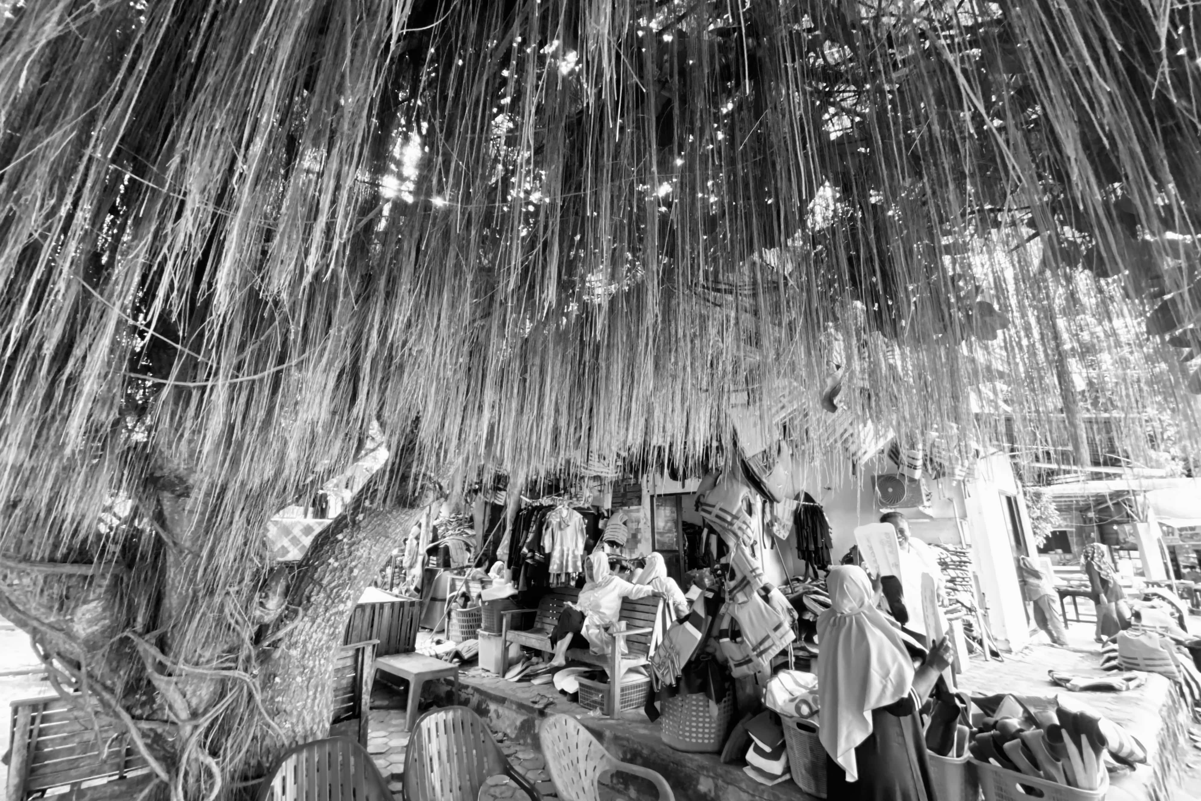 image00004-42-min.jpeg