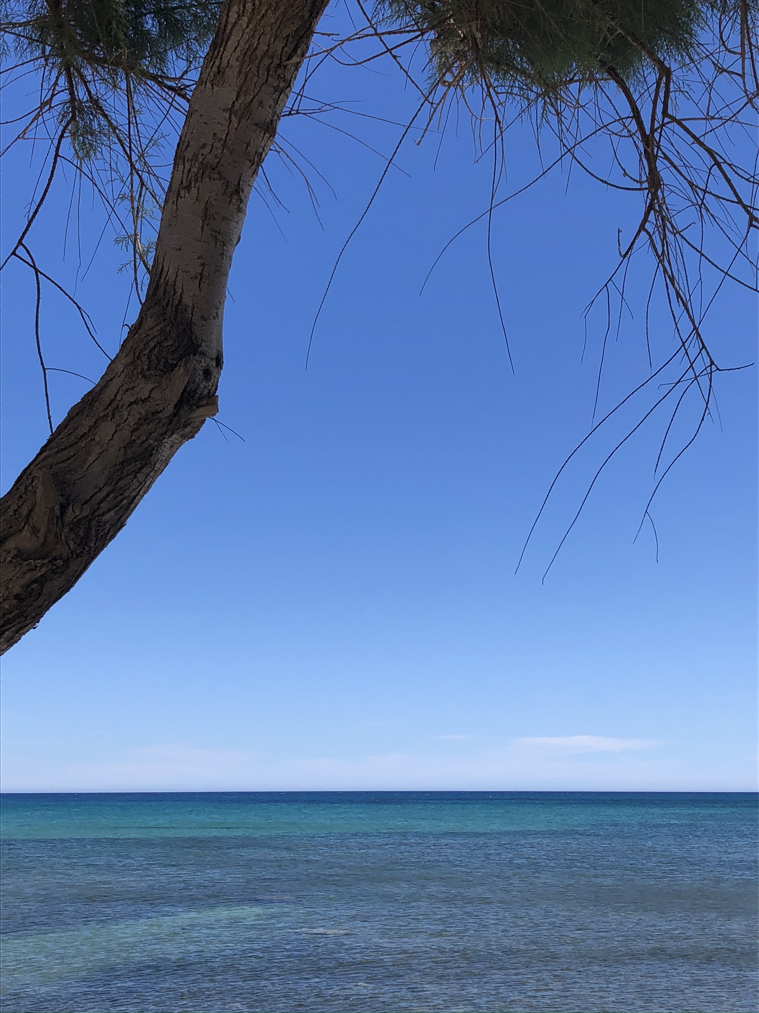 IMG_5242.jpeg