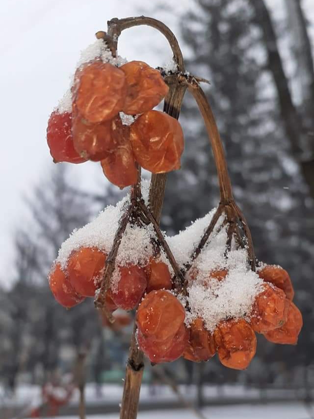 20230325_212738.jpg