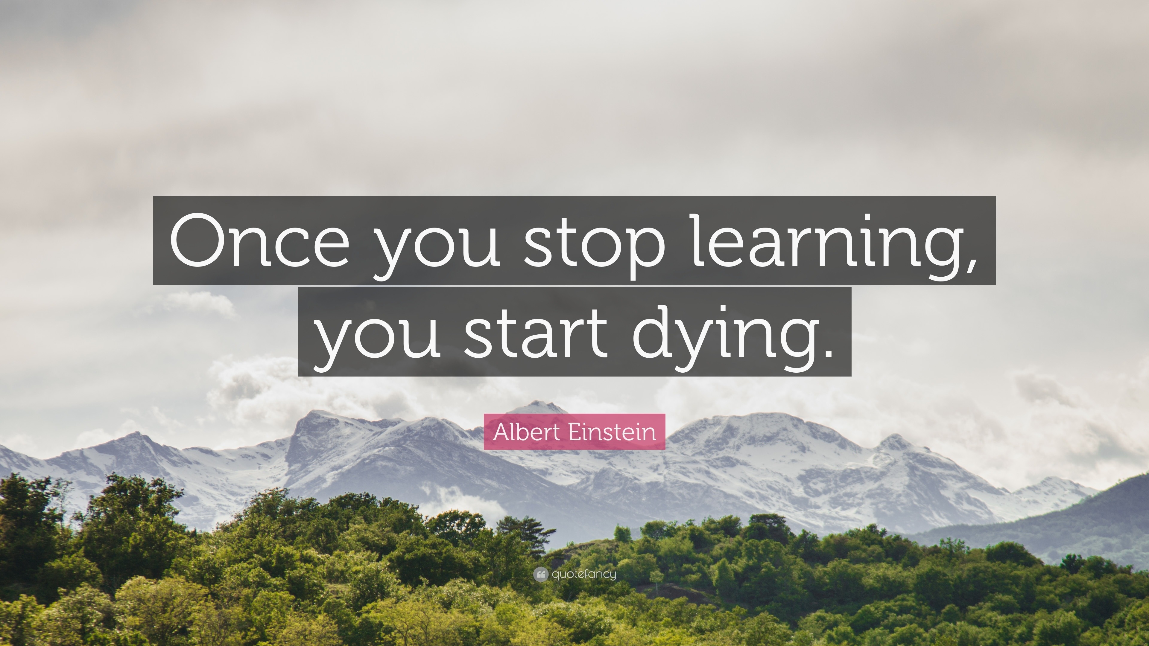 442014-Albert-Einstein-Quote-Once-you-stop-learning-you-start-dying.jpg