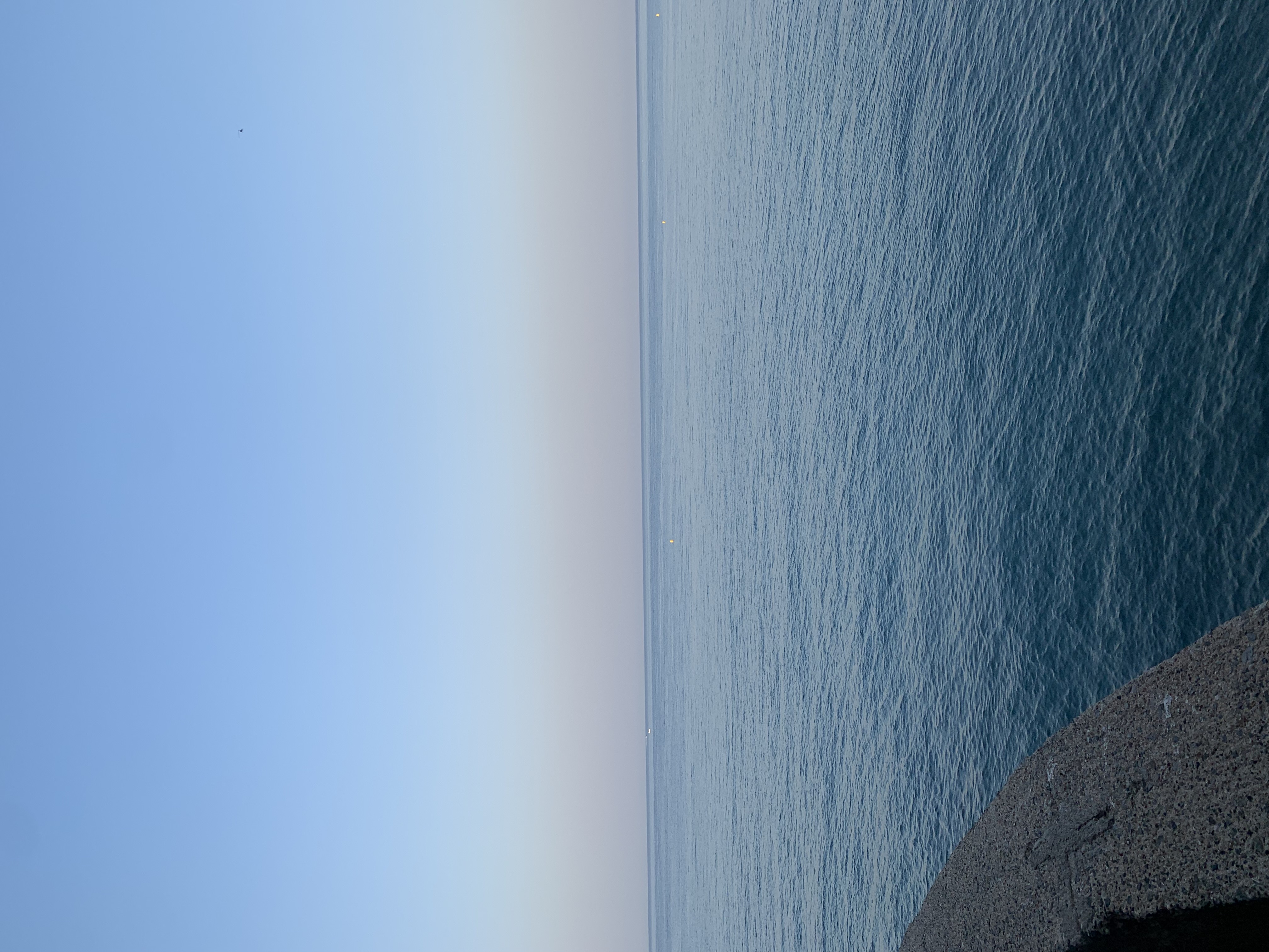 IMG_2016.jpeg