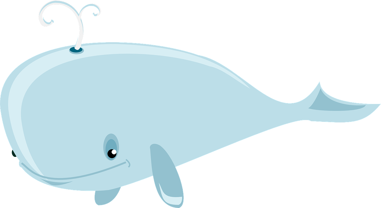 whale-36828_1280 pixabay.png