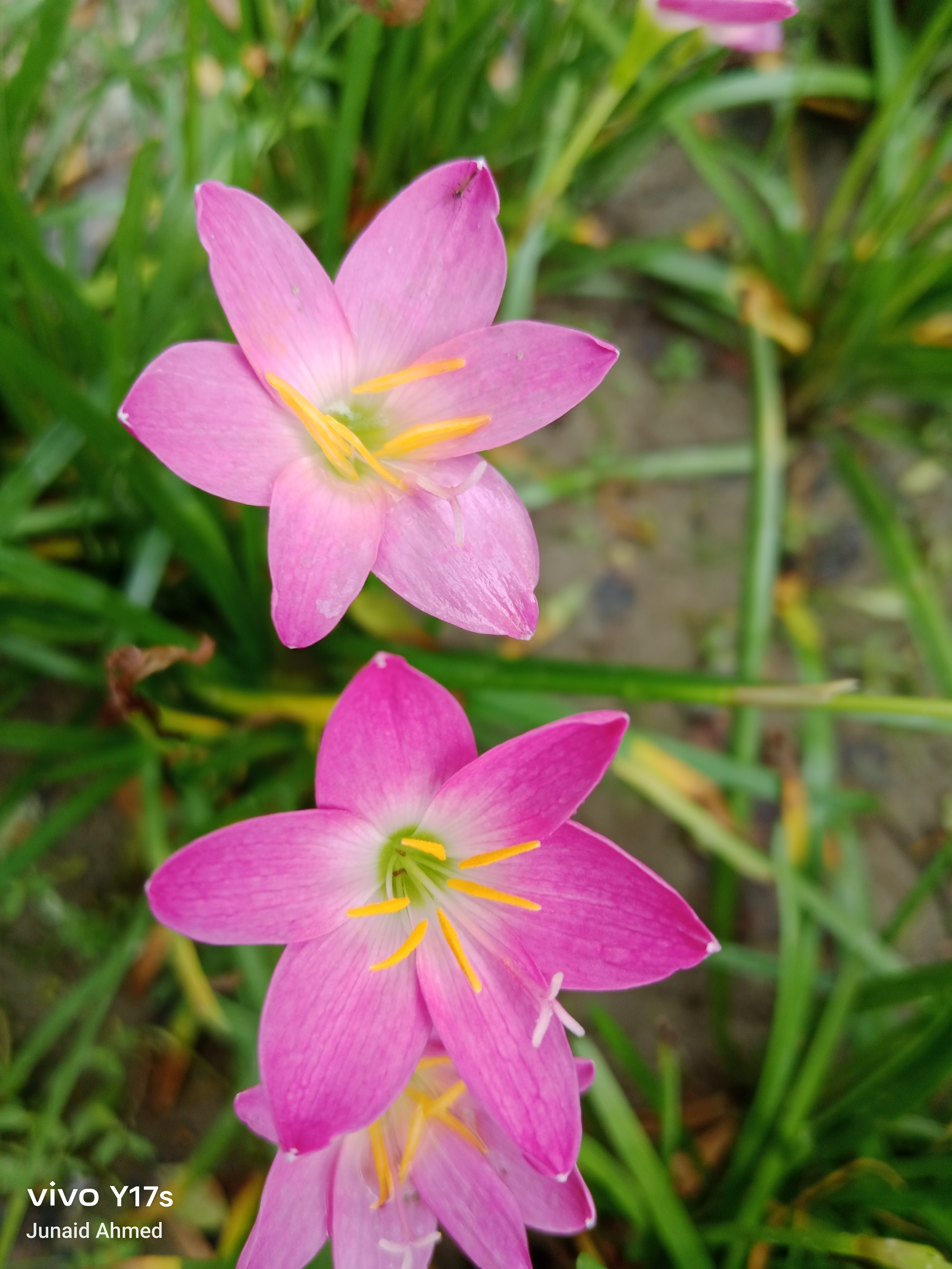 IMG_20250808_083925.jpg